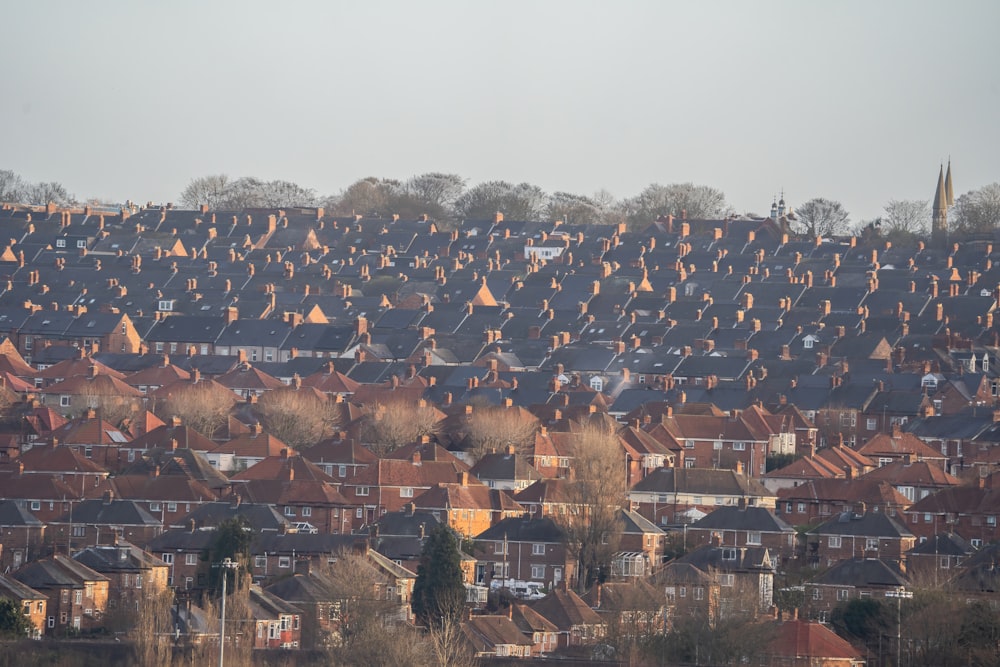 a large group of houses in a residential area