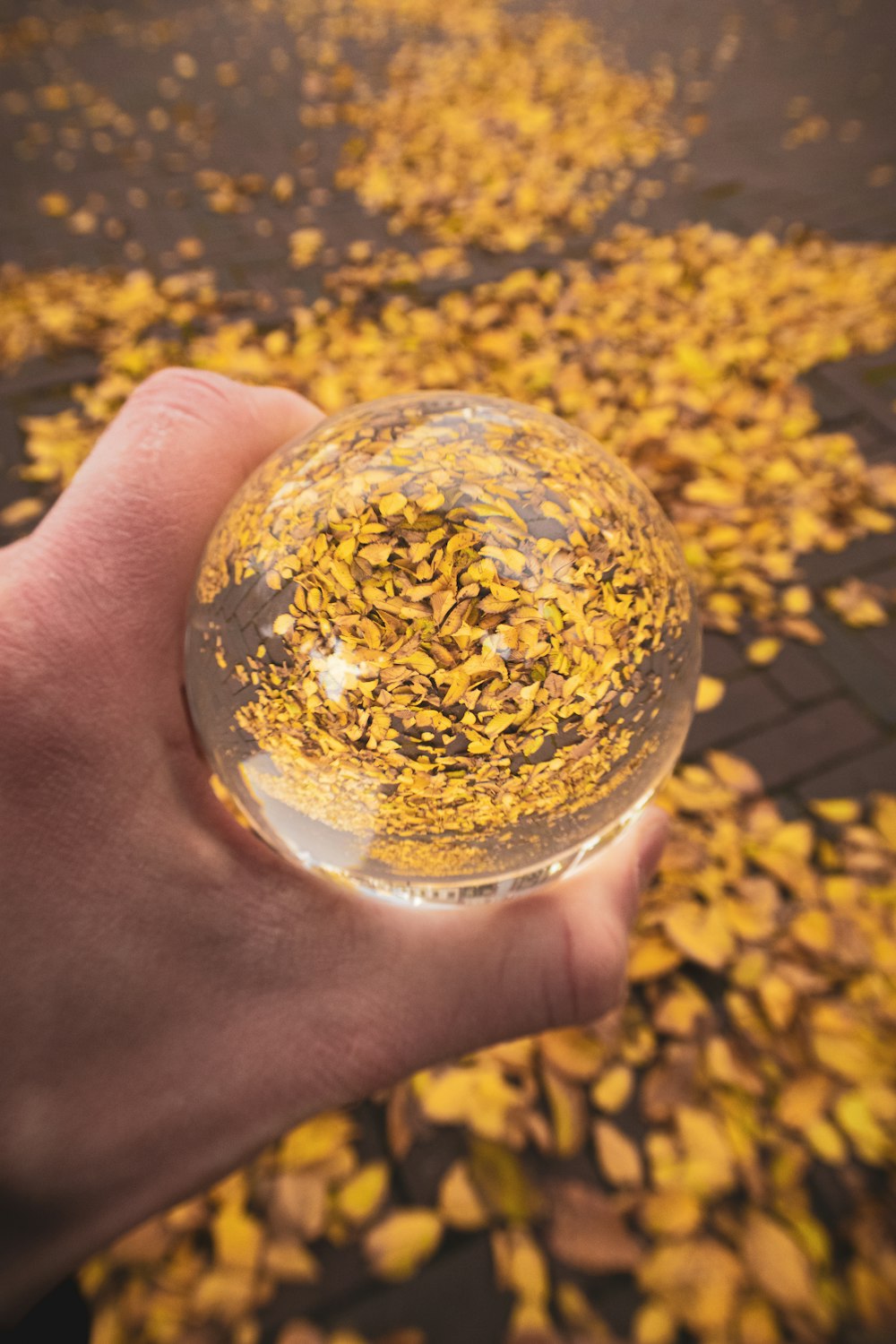 a person holding a glass ball in their hand