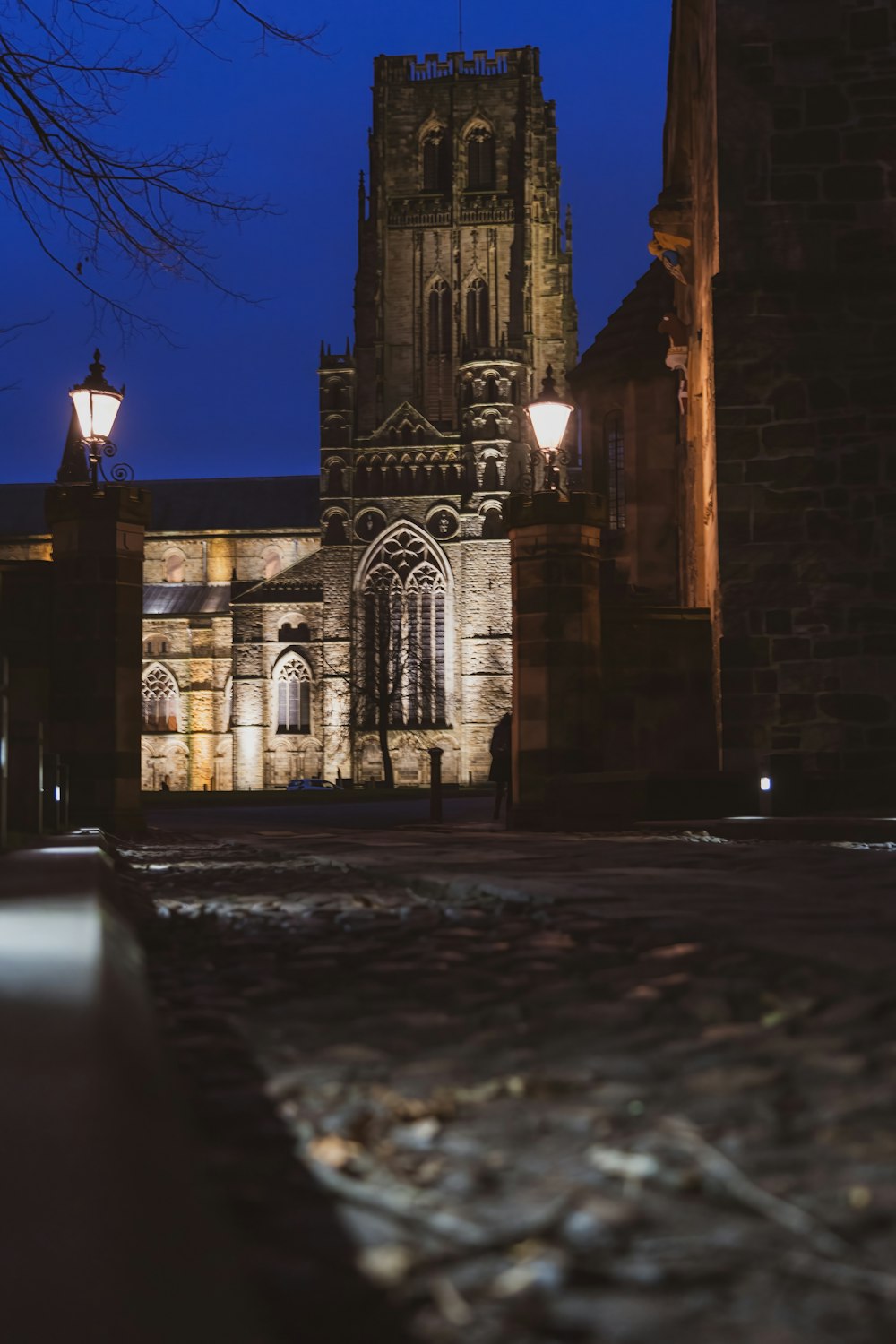 a cathedral lit up at night with street lights