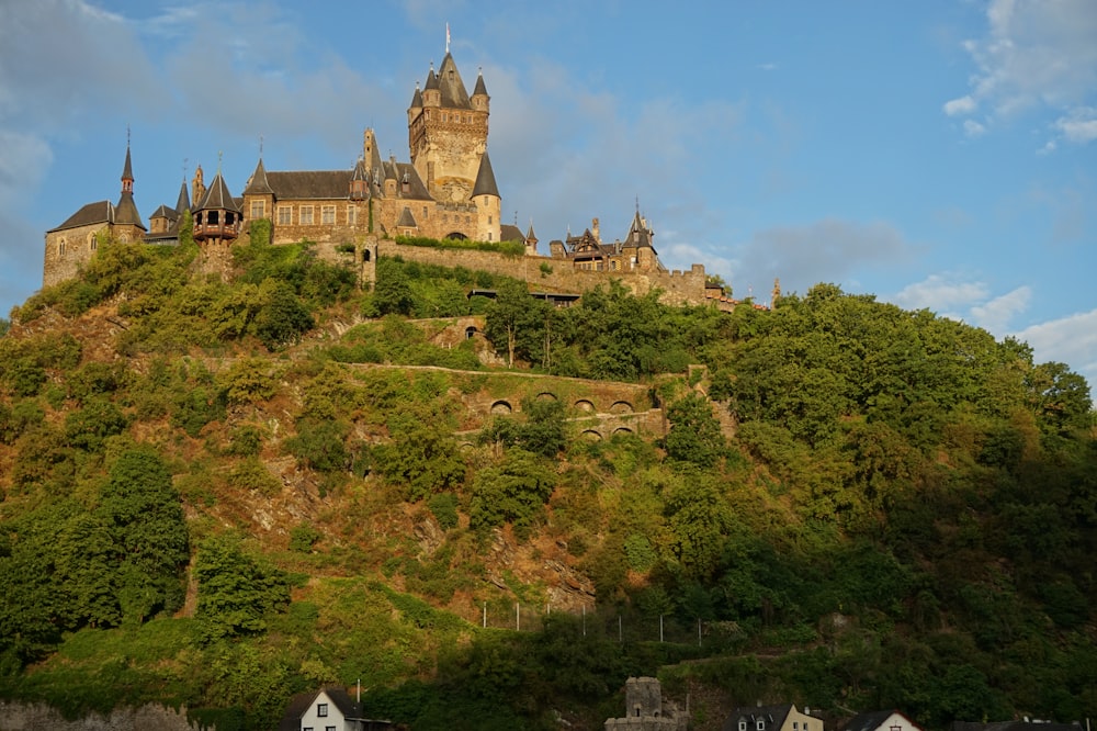 a castle on top of a hill surrounded by trees