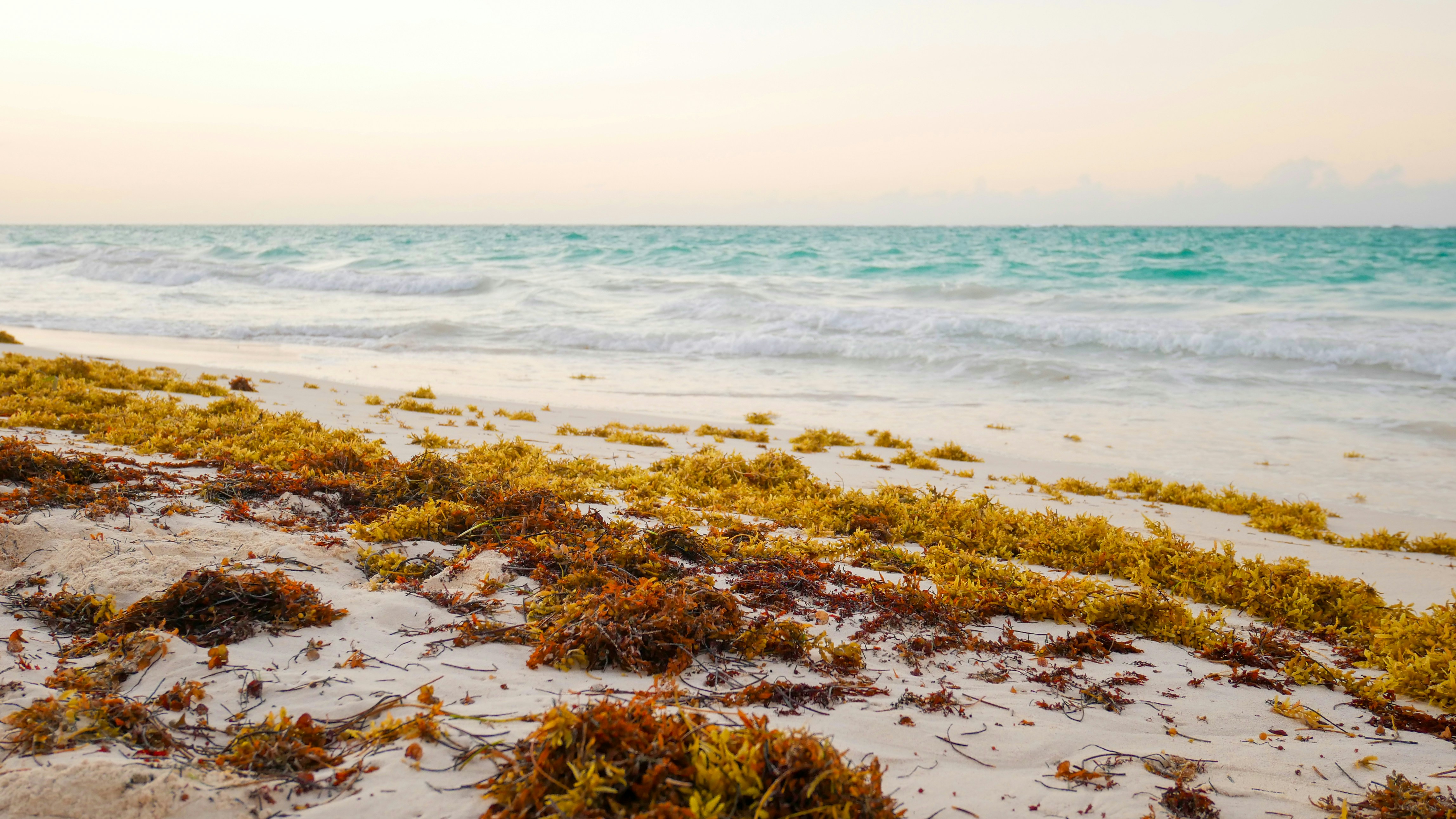 Photo by paoalchapar