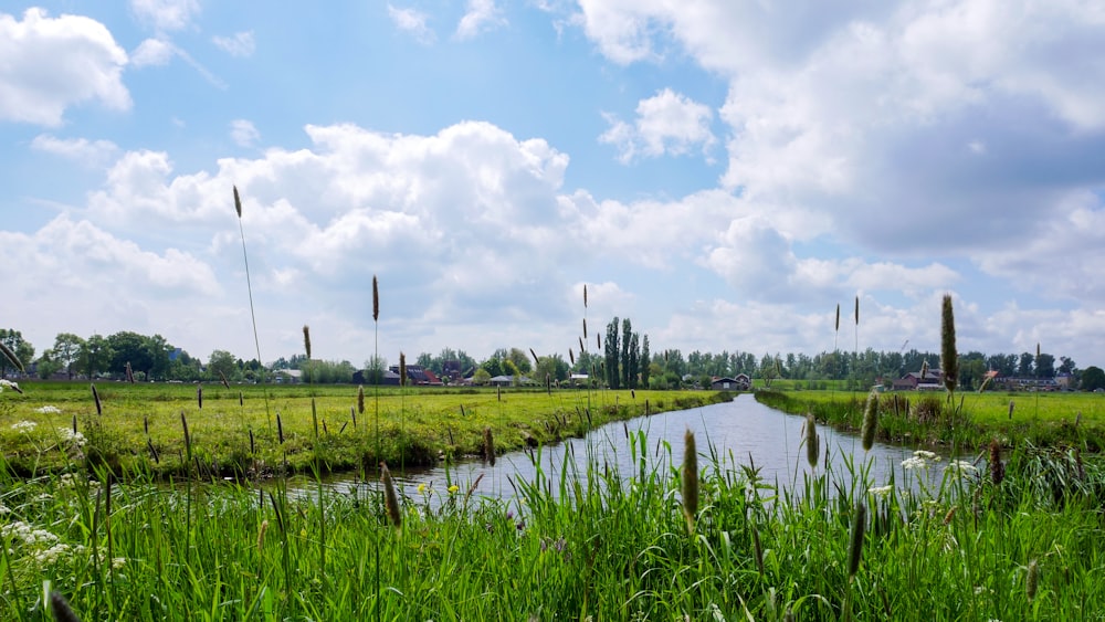 Ein Fluss, der durch ein üppiges grünes Feld fließt