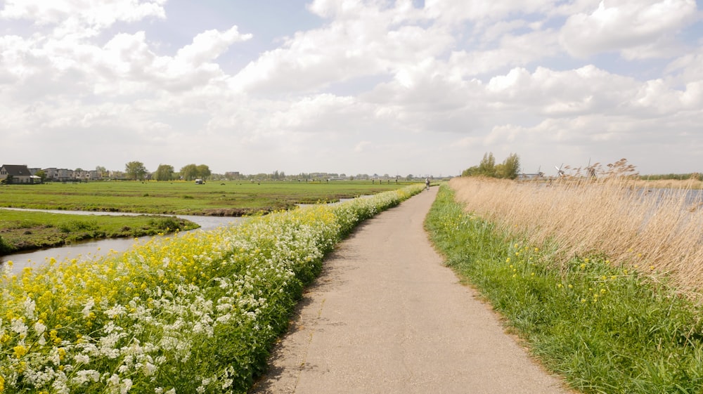 a dirt road next to a grassy field and a river