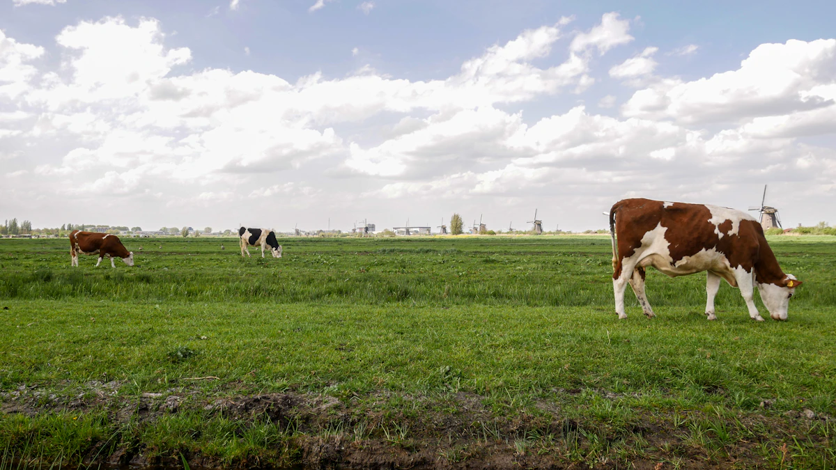 3 Rotational Grazing Planners, Compared