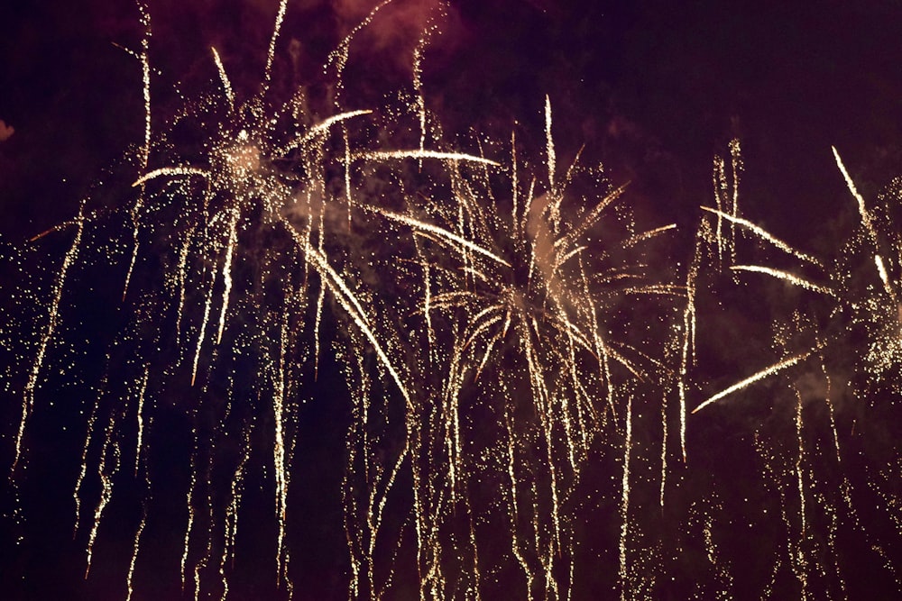 a bunch of fireworks are lit up in the night sky