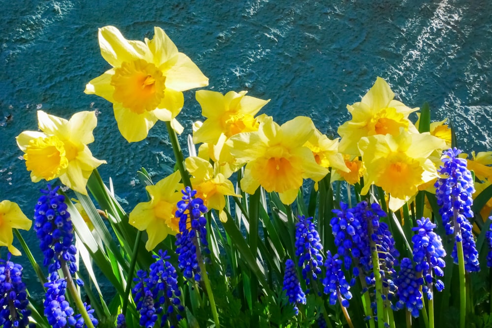 a bunch of flowers that are in the grass