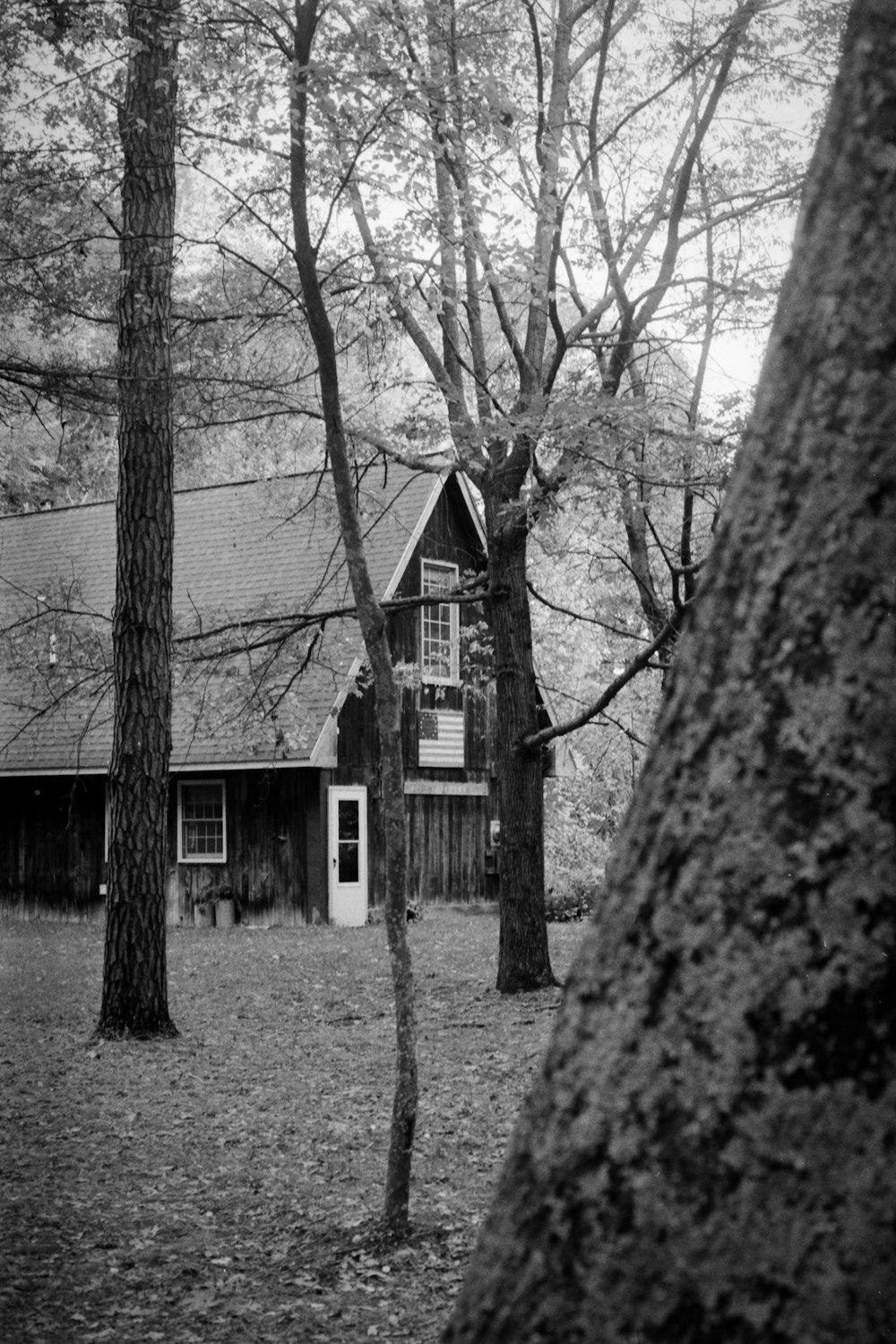 a black and white photo of a house in the woods