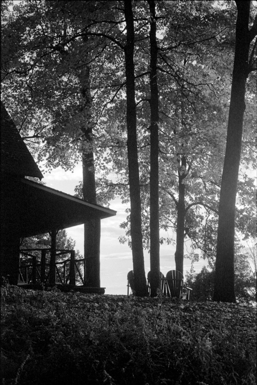 Una foto en blanco y negro de una cabaña en el bosque