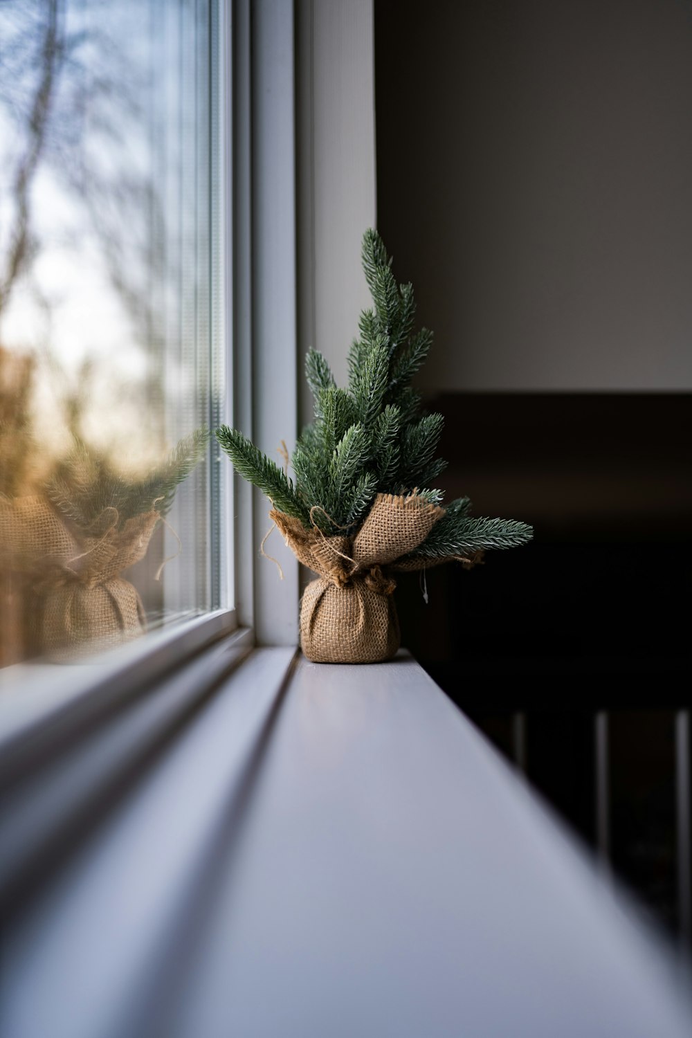a vase with flowers in front of a window
