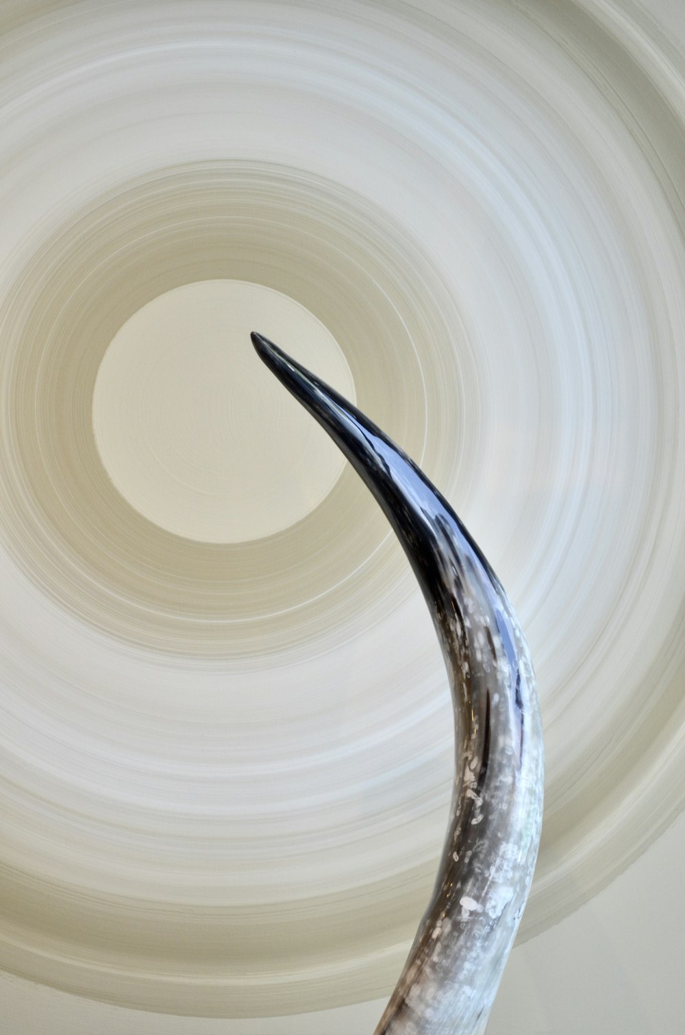 a sculpture of a long horn in front of a circular light fixture