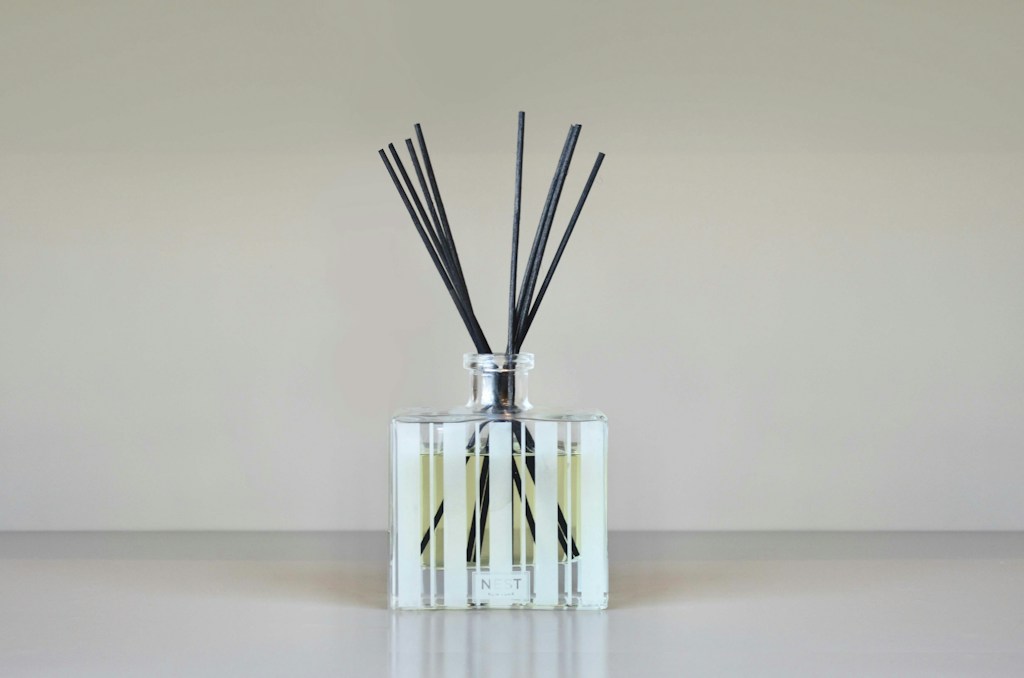 Fermented Renewal Essence