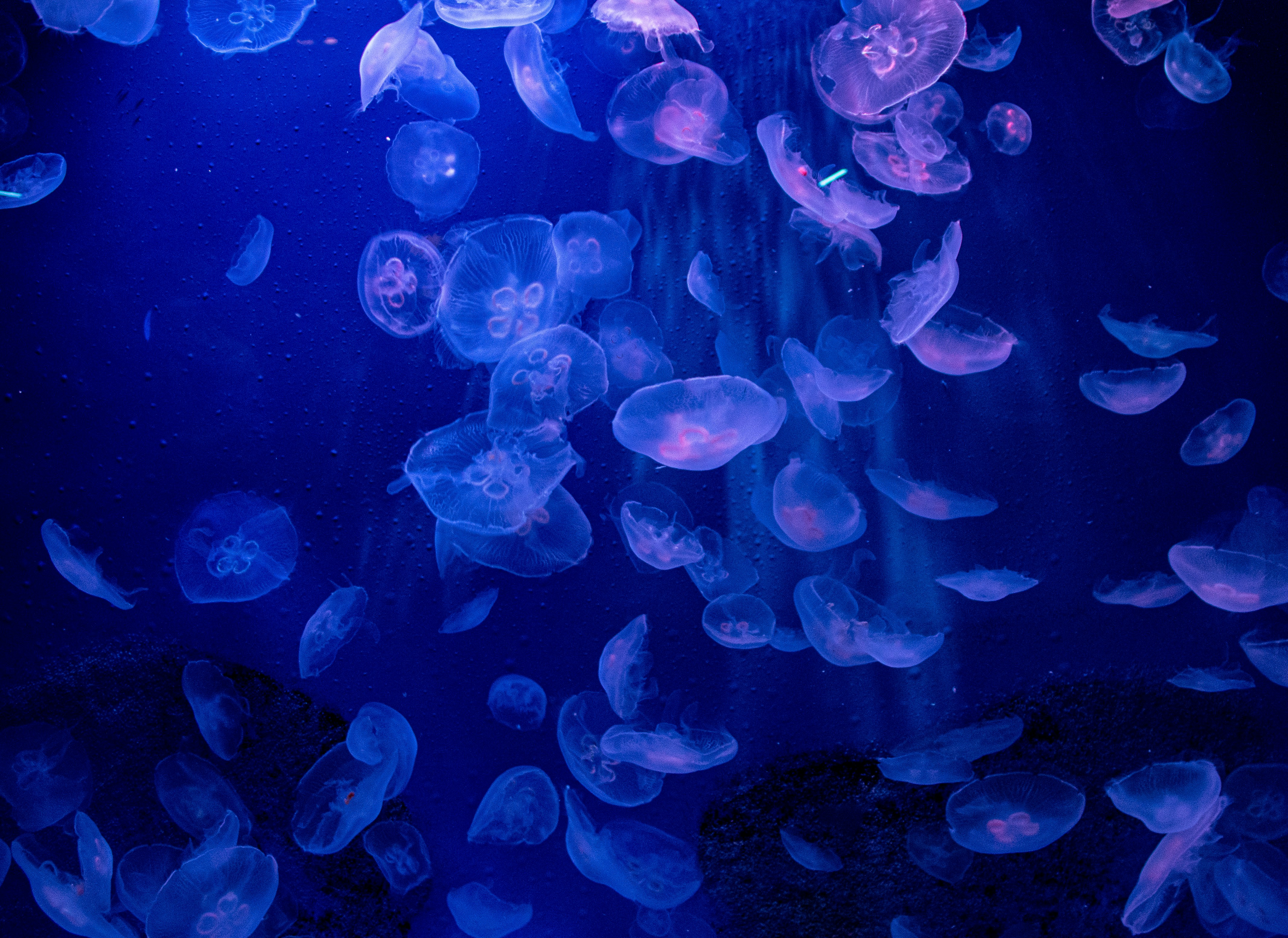 Photo by albertobiondifoto