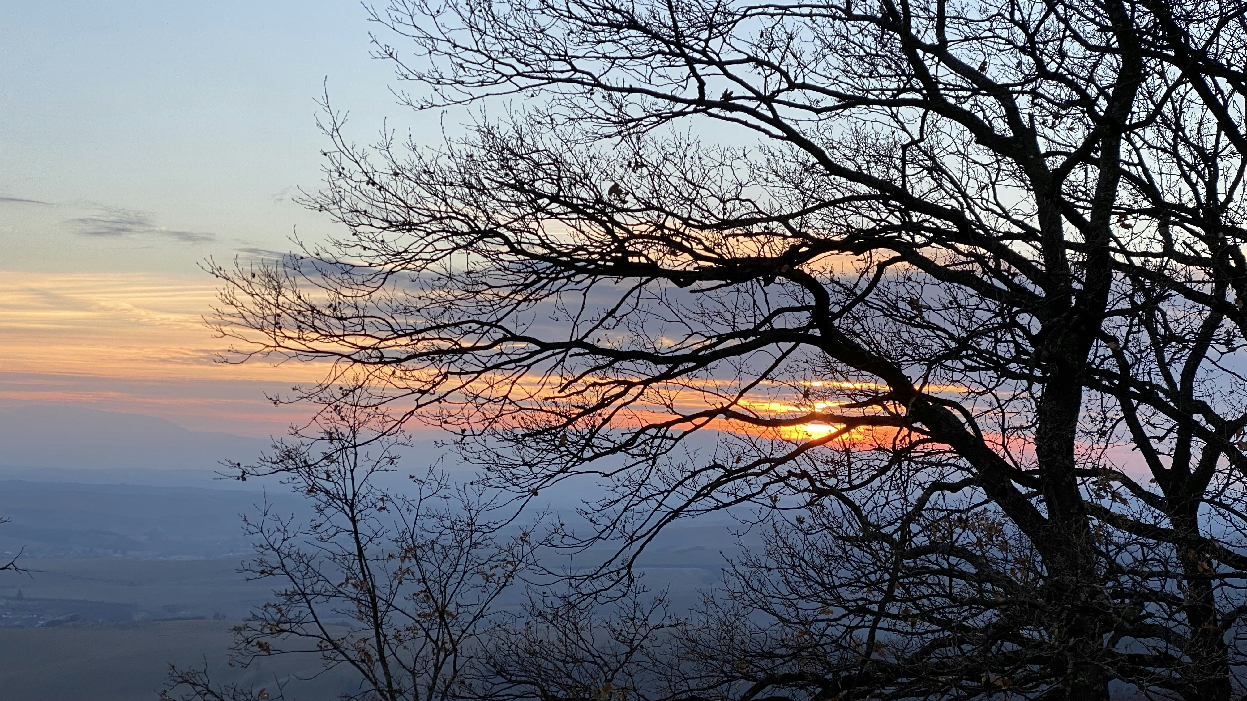 Photo by oxygenvisuals