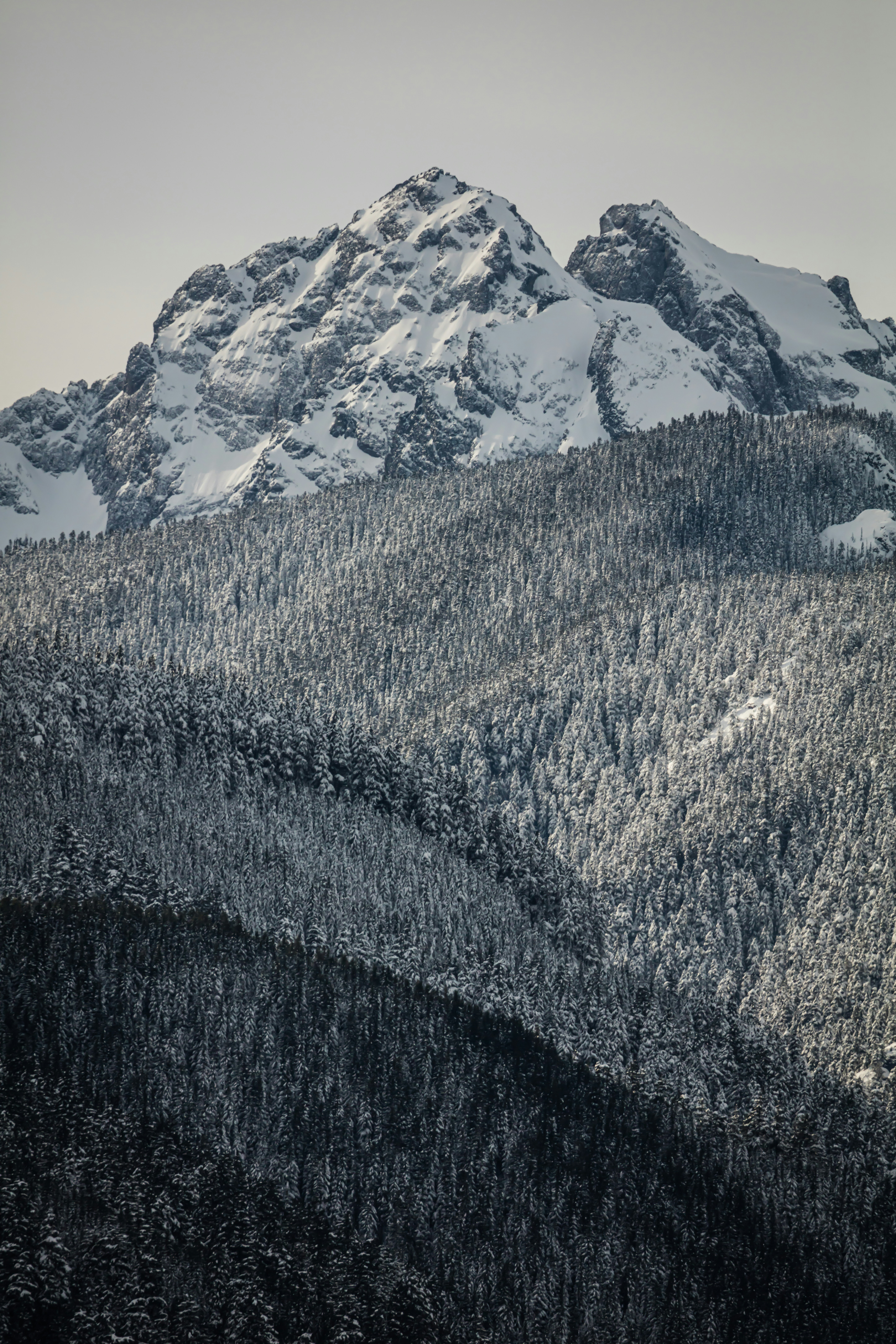 Photo by worldsbetweenlines