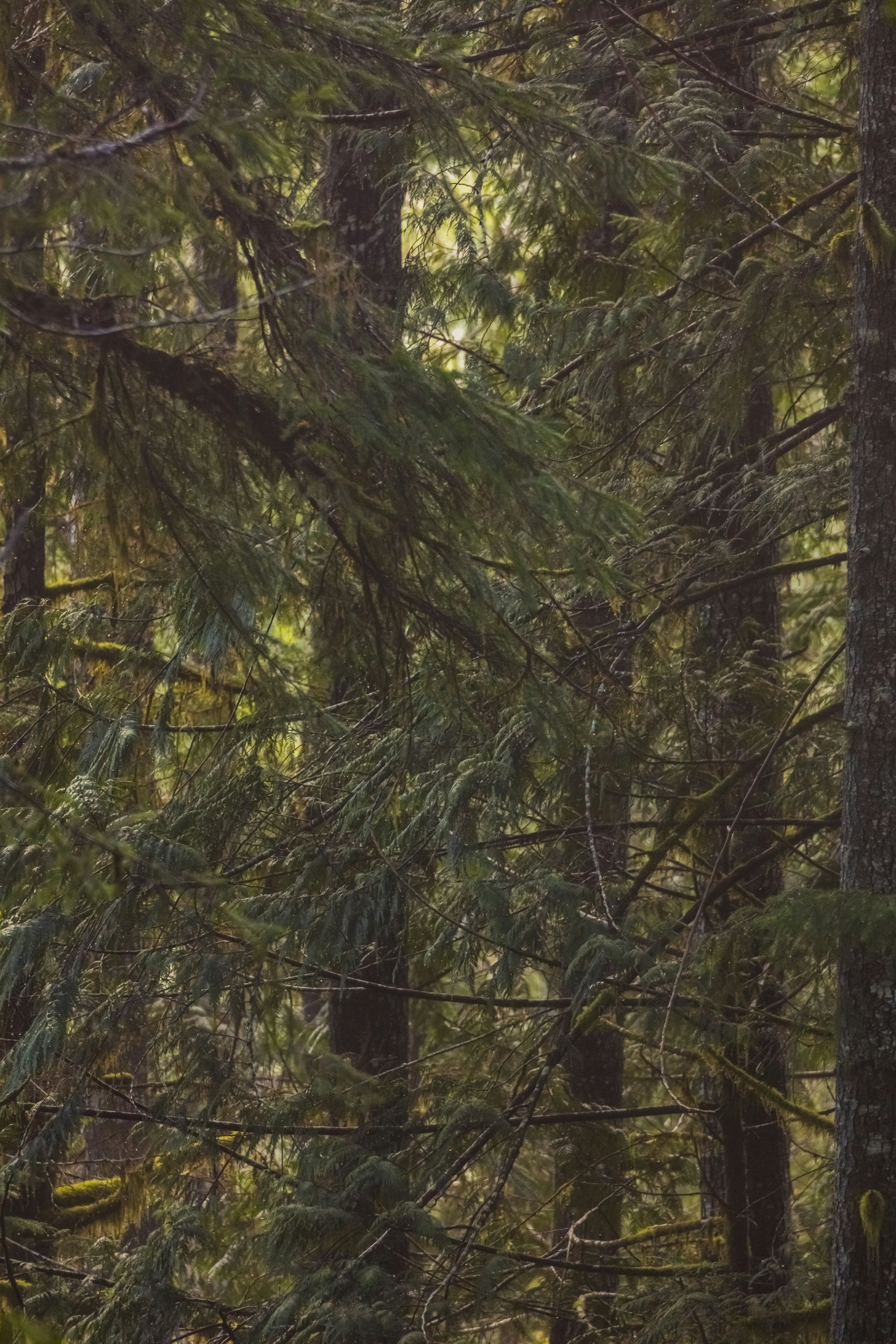 Photo by worldsbetweenlines