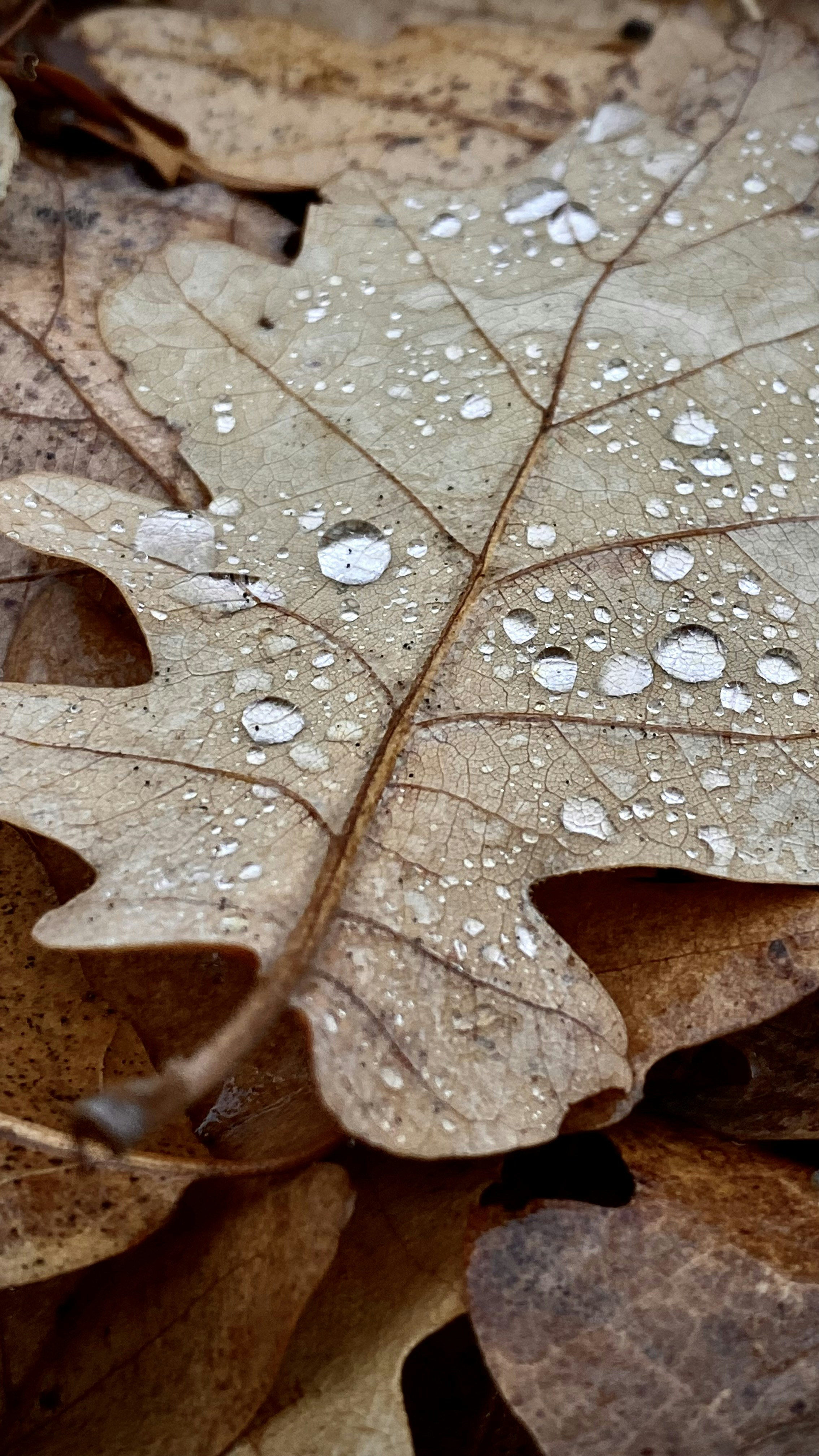 Photo by oxygenvisuals