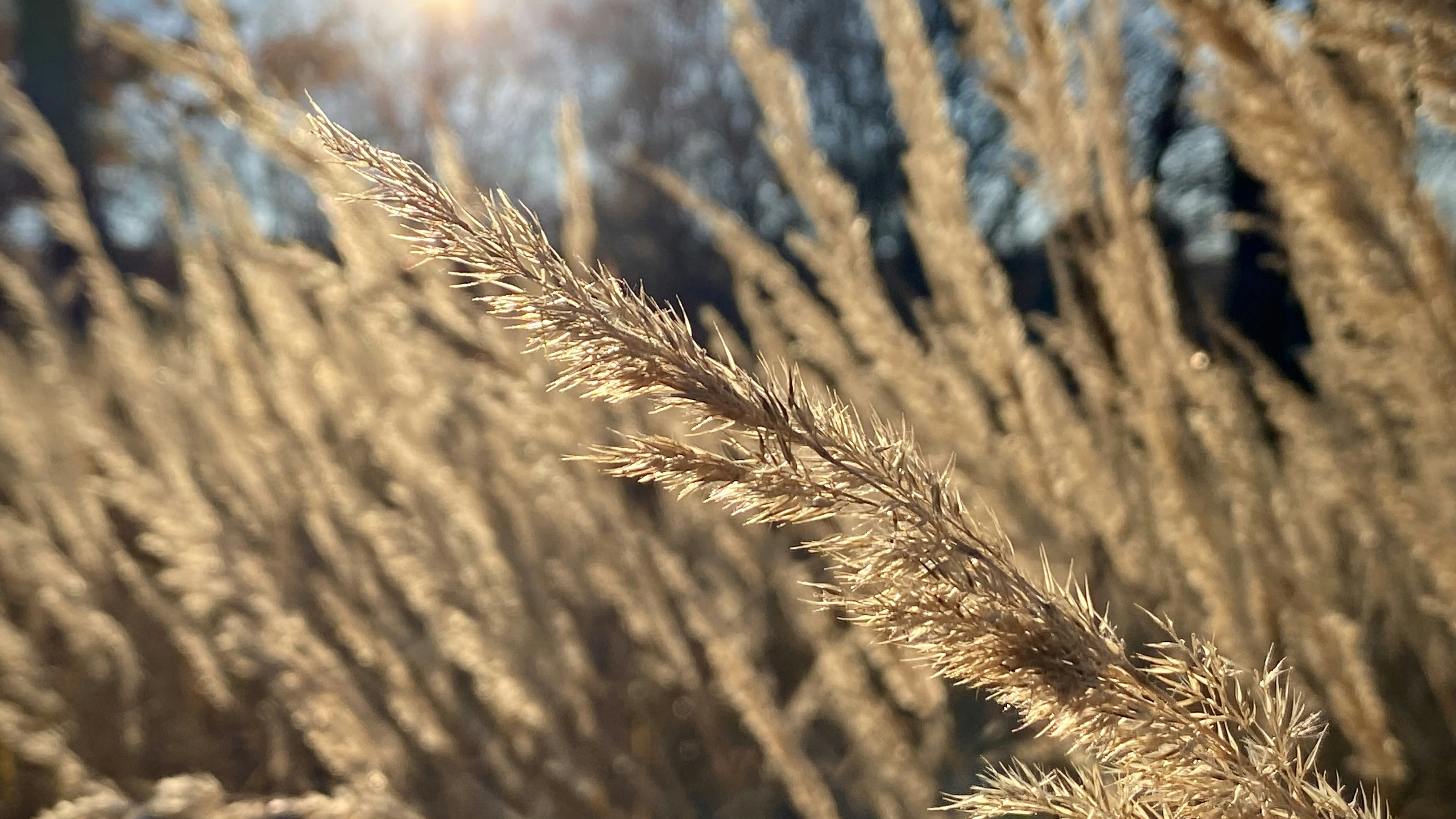 Photo by oxygenvisuals