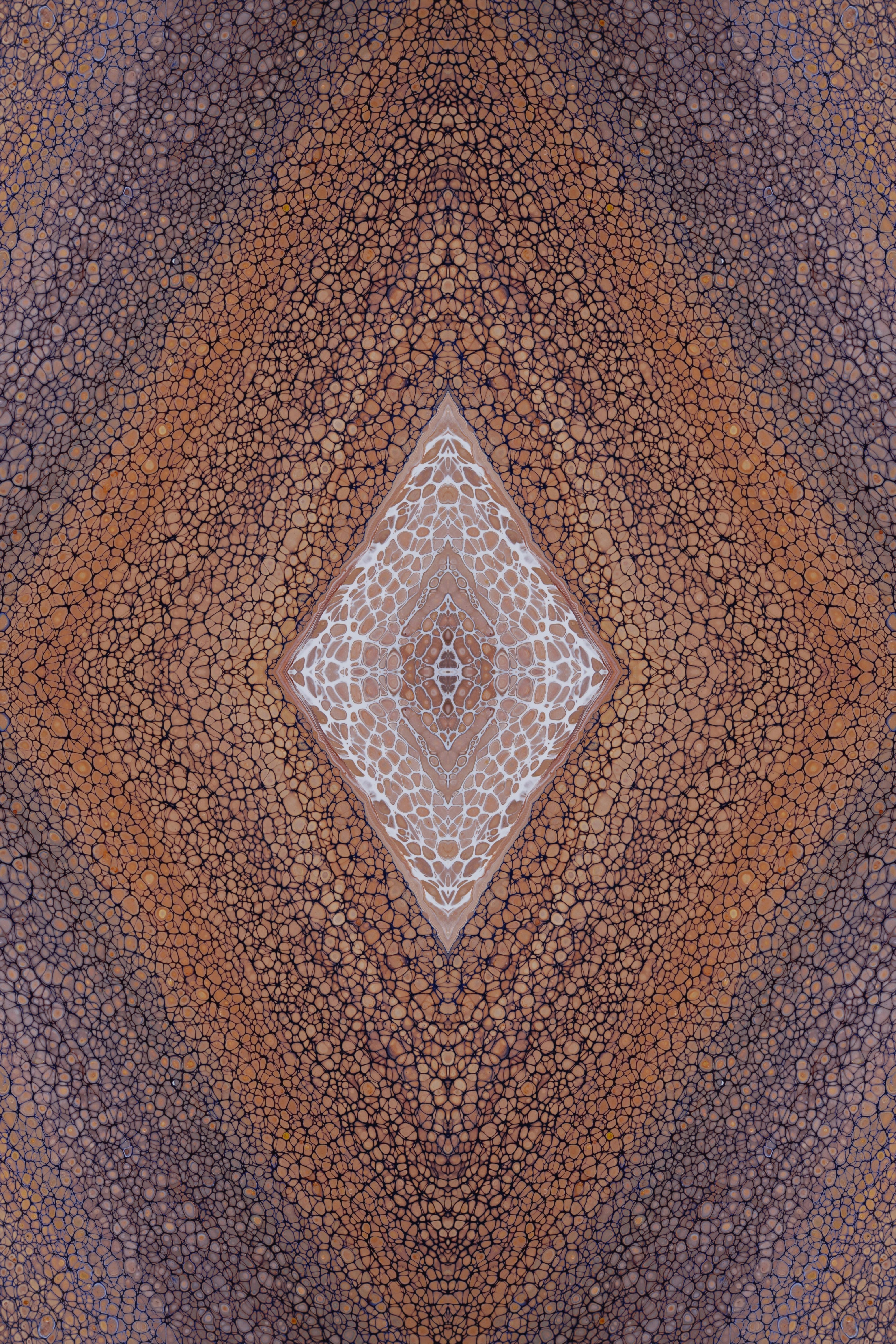 Photo by susan_wilkinson