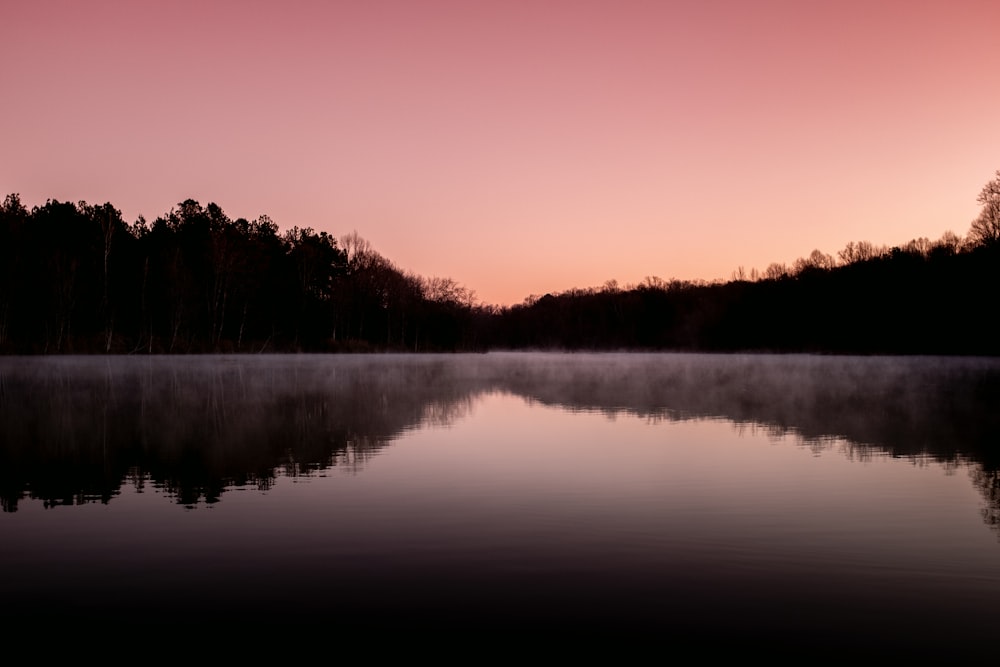 a large body of water surrounded by trees