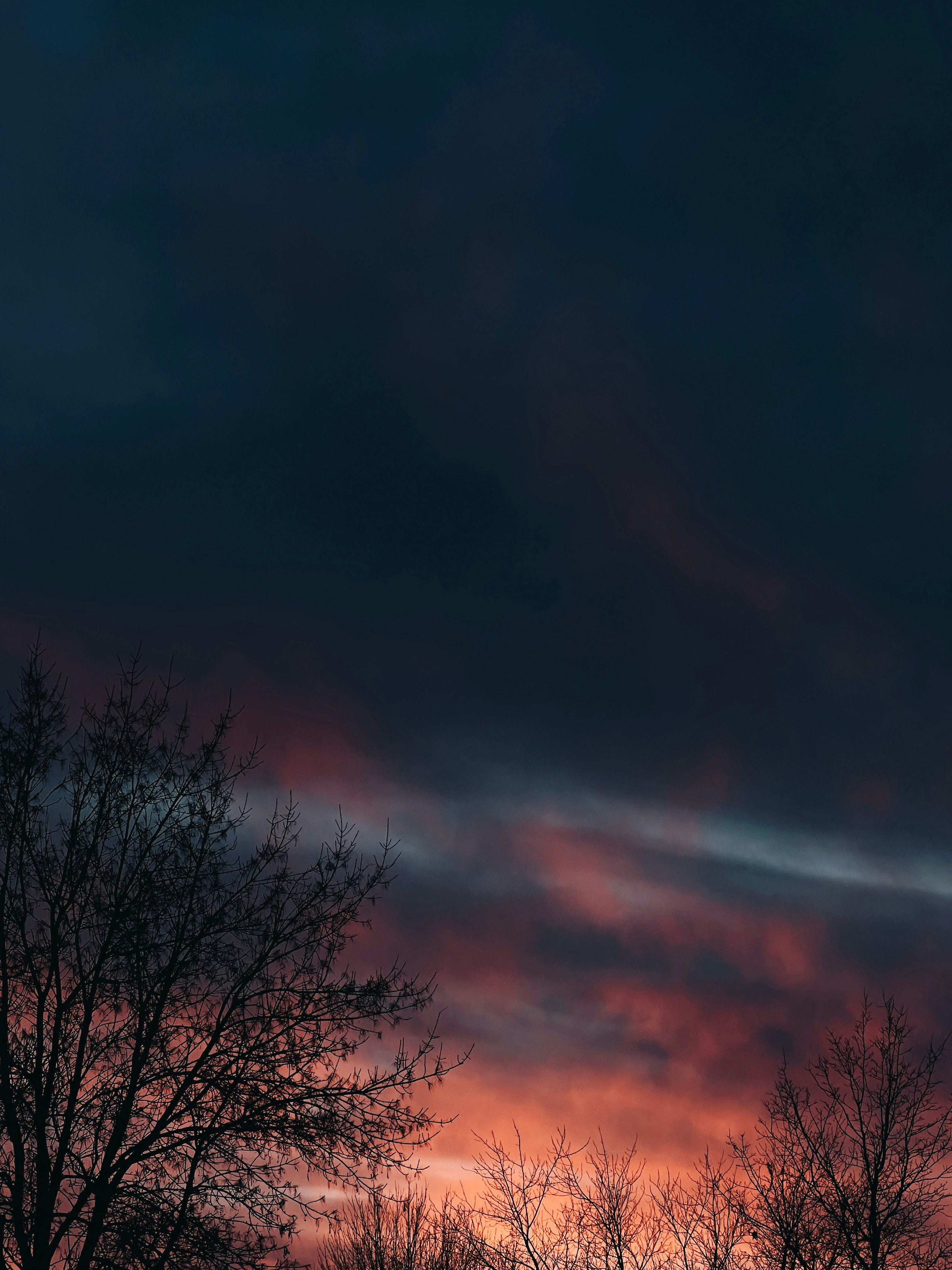 ein roter Himmel mit ein paar Wolken und ein paar Bäumen