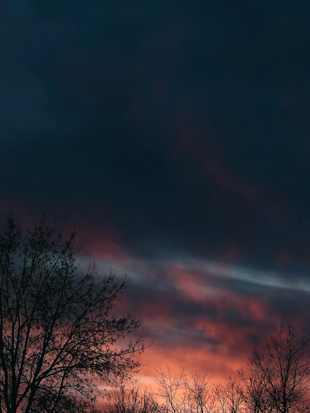 un ciel rouge avec quelques nuages et quelques arbres