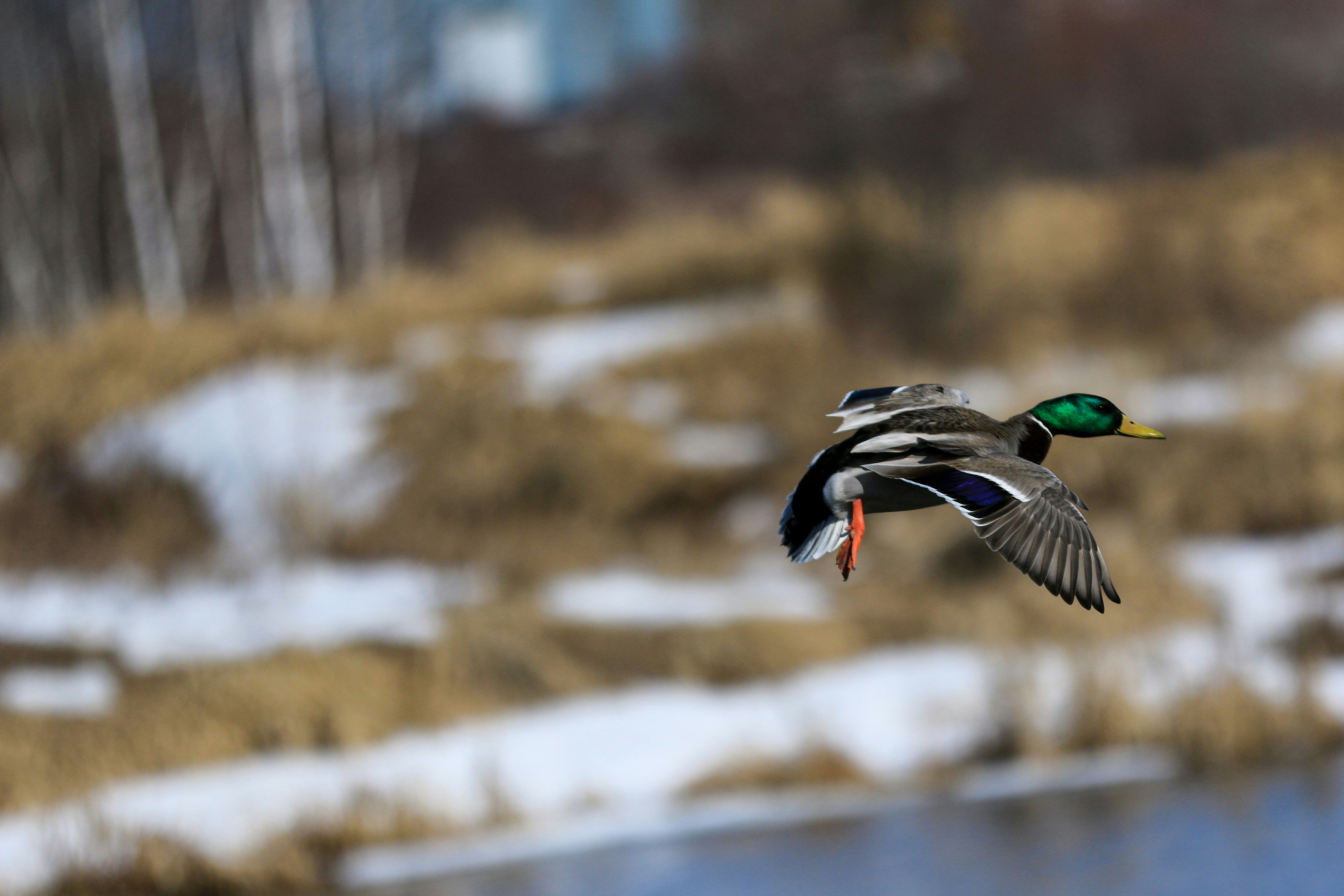 Photo by camerauthor