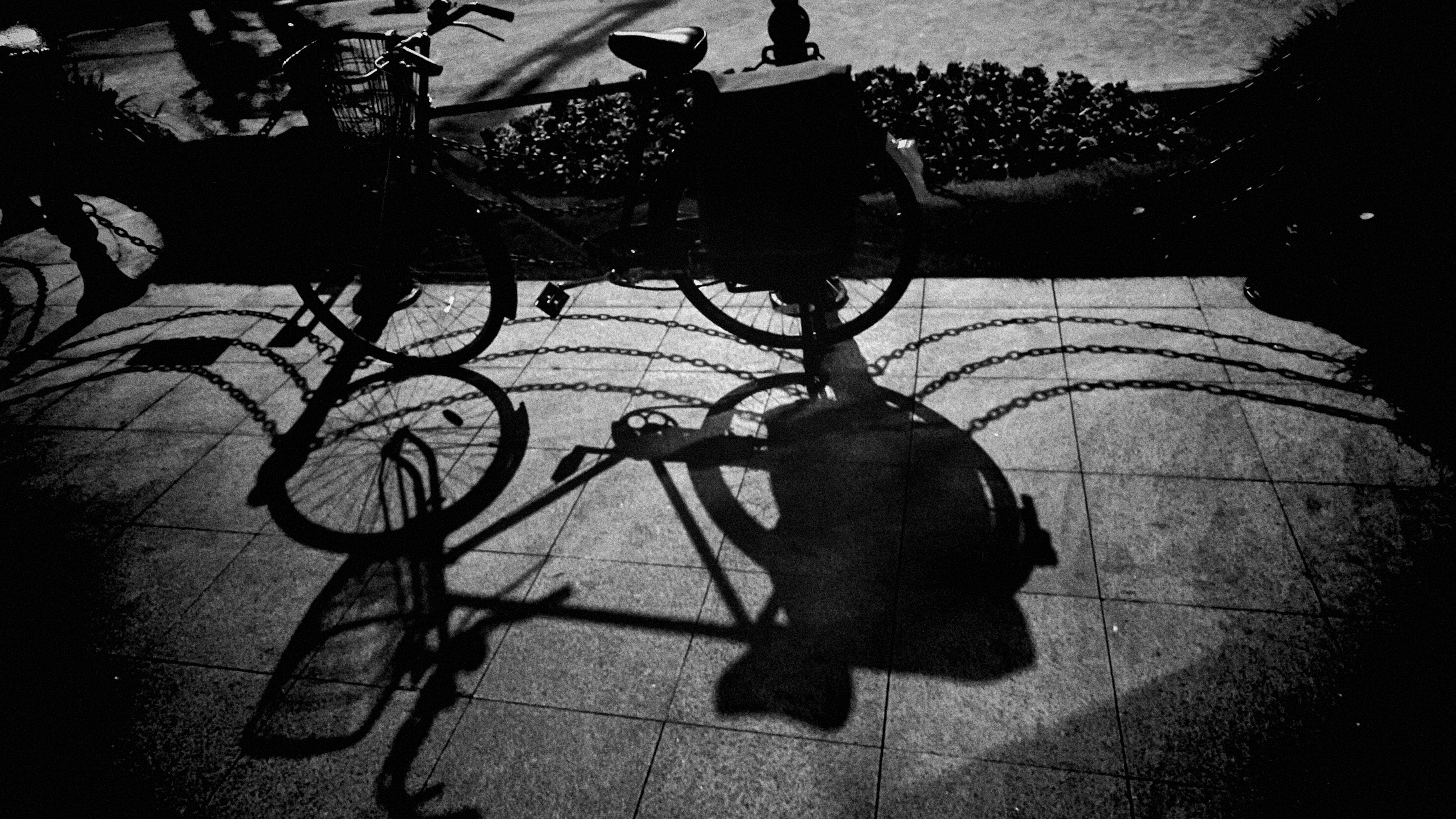 Photo by geraltyichen