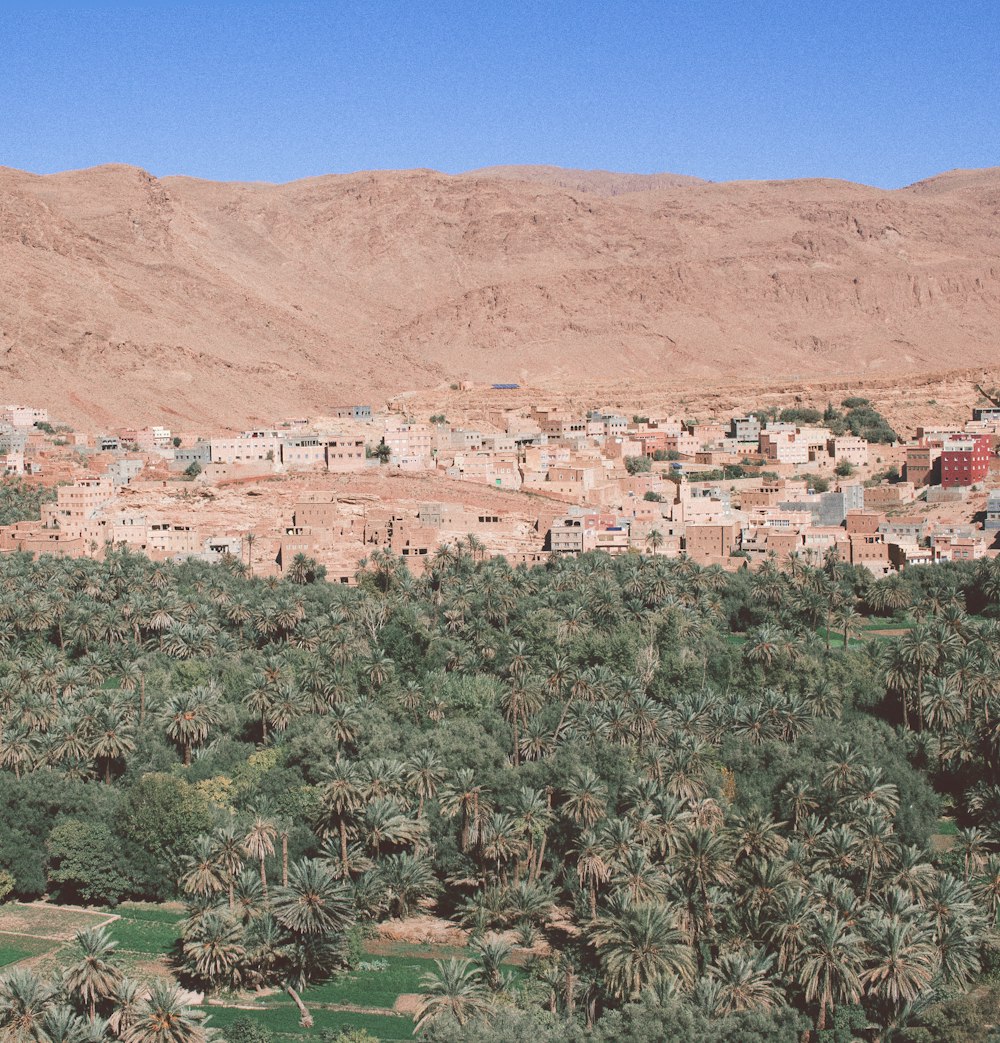 Ein Dorf in der Wüste umgeben von Palmen
