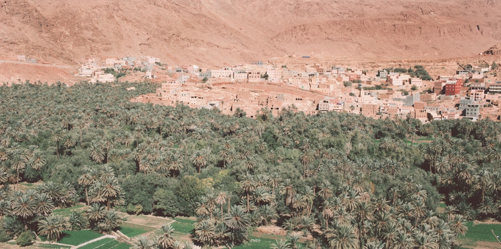 an aerial view of a village in the desert