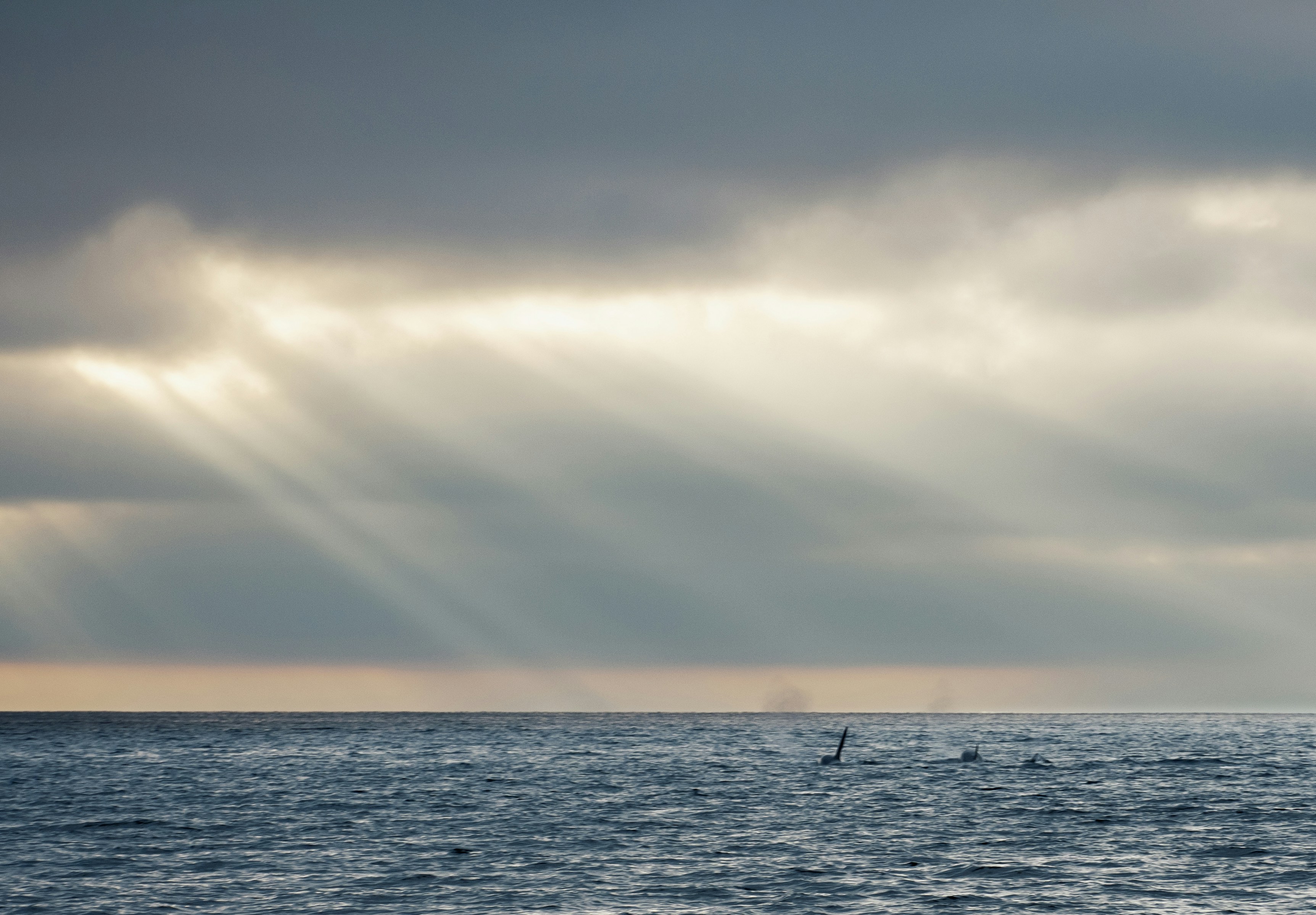 Photo by gabrielrana