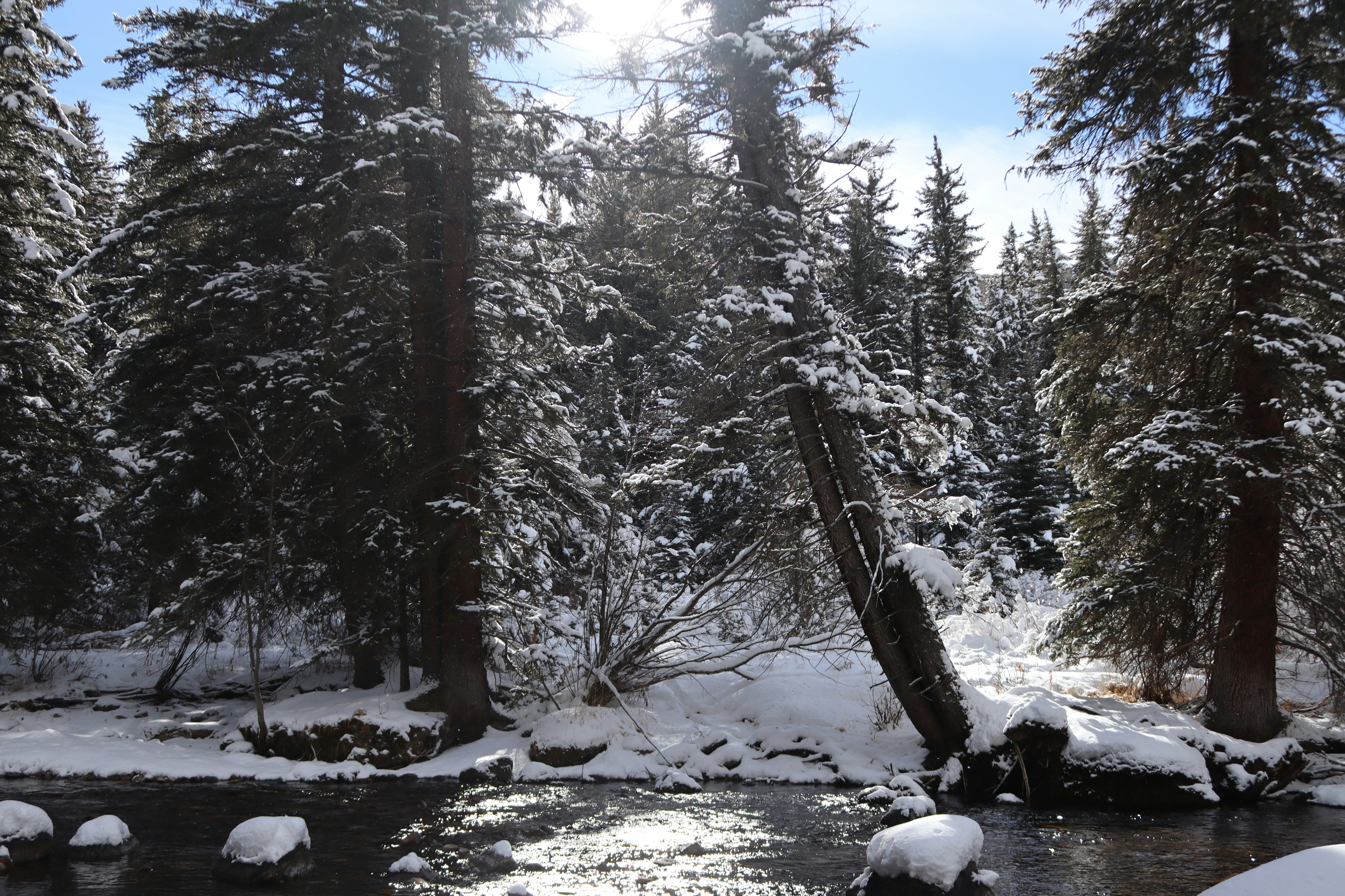 Photo by rainytnight