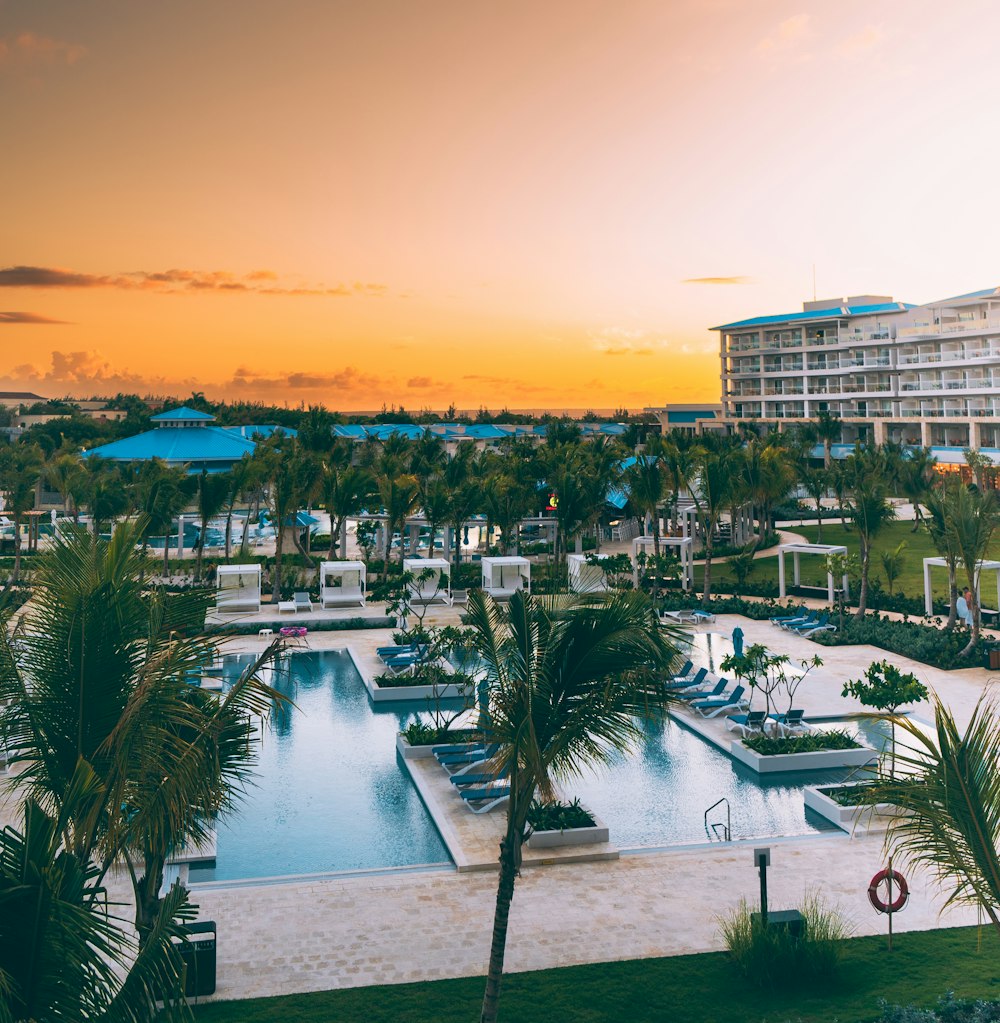 a resort with a pool surrounded by palm trees