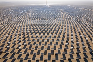 a large array of solar panels in the desert
