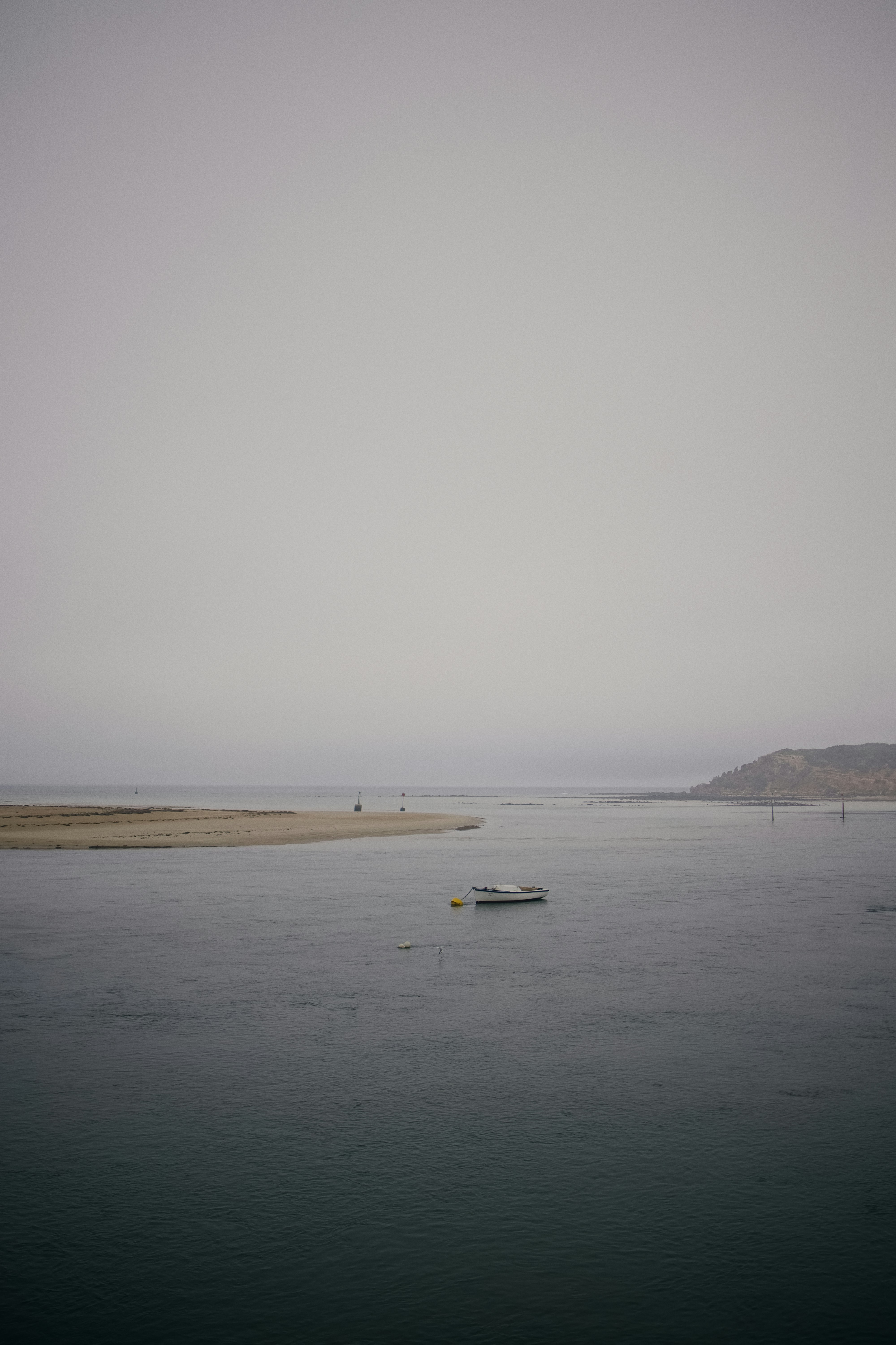 Photo by gryffyn1