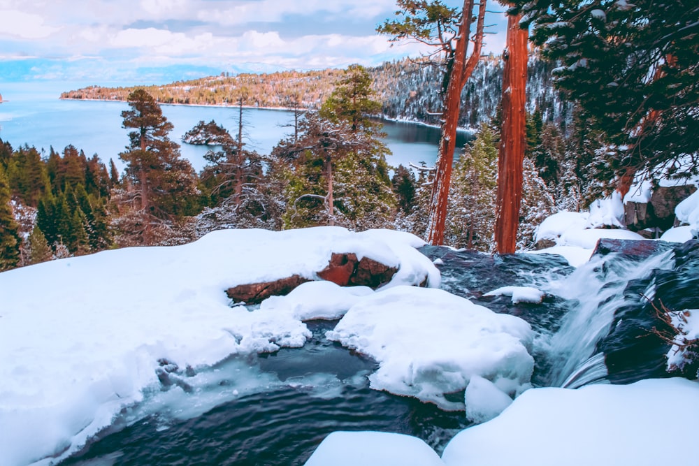 a stream running through a forest covered in snow