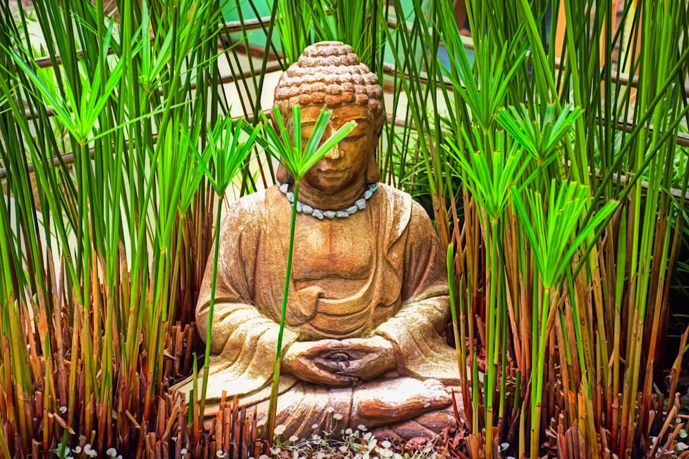 a buddha statue sitting in the middle of a garden