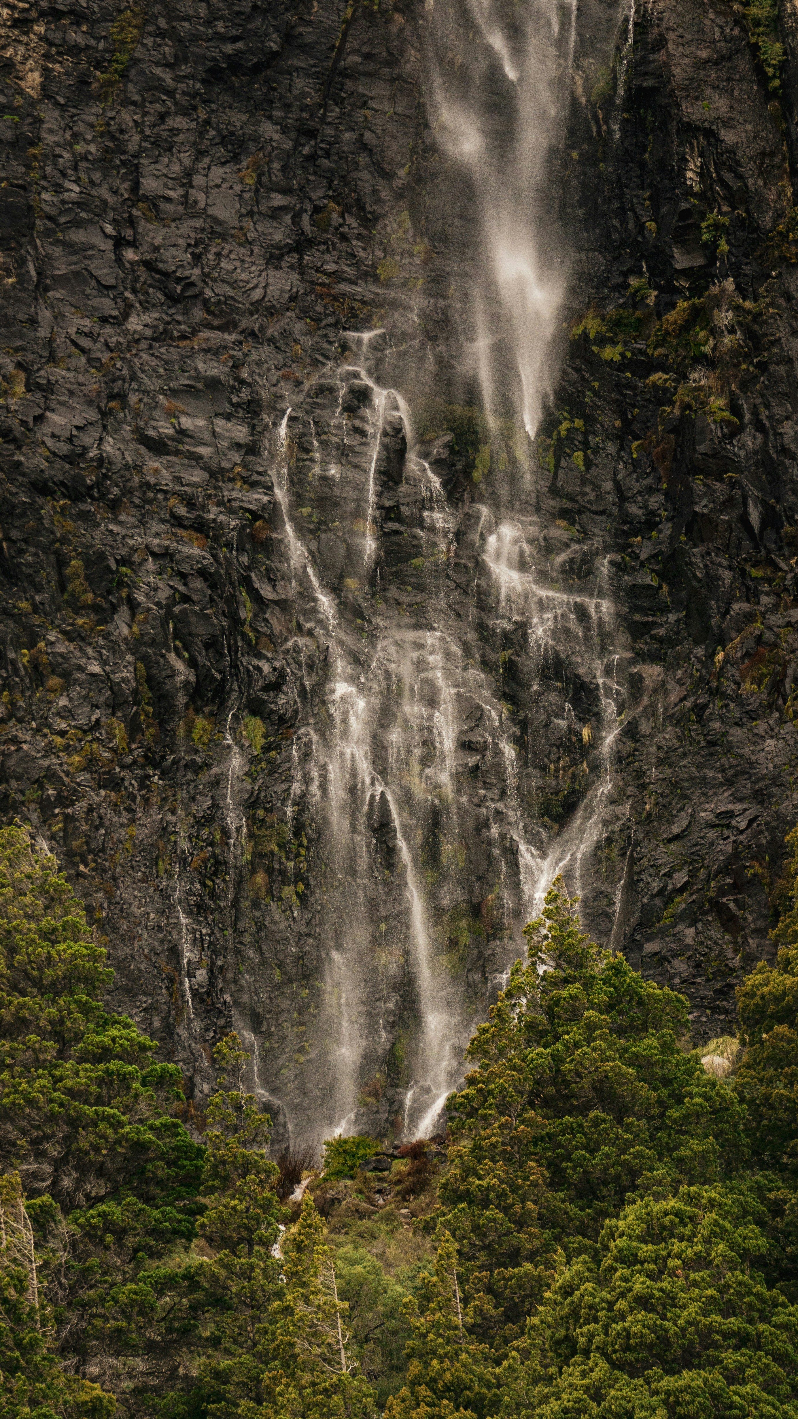 Photo by federicofaccipieri