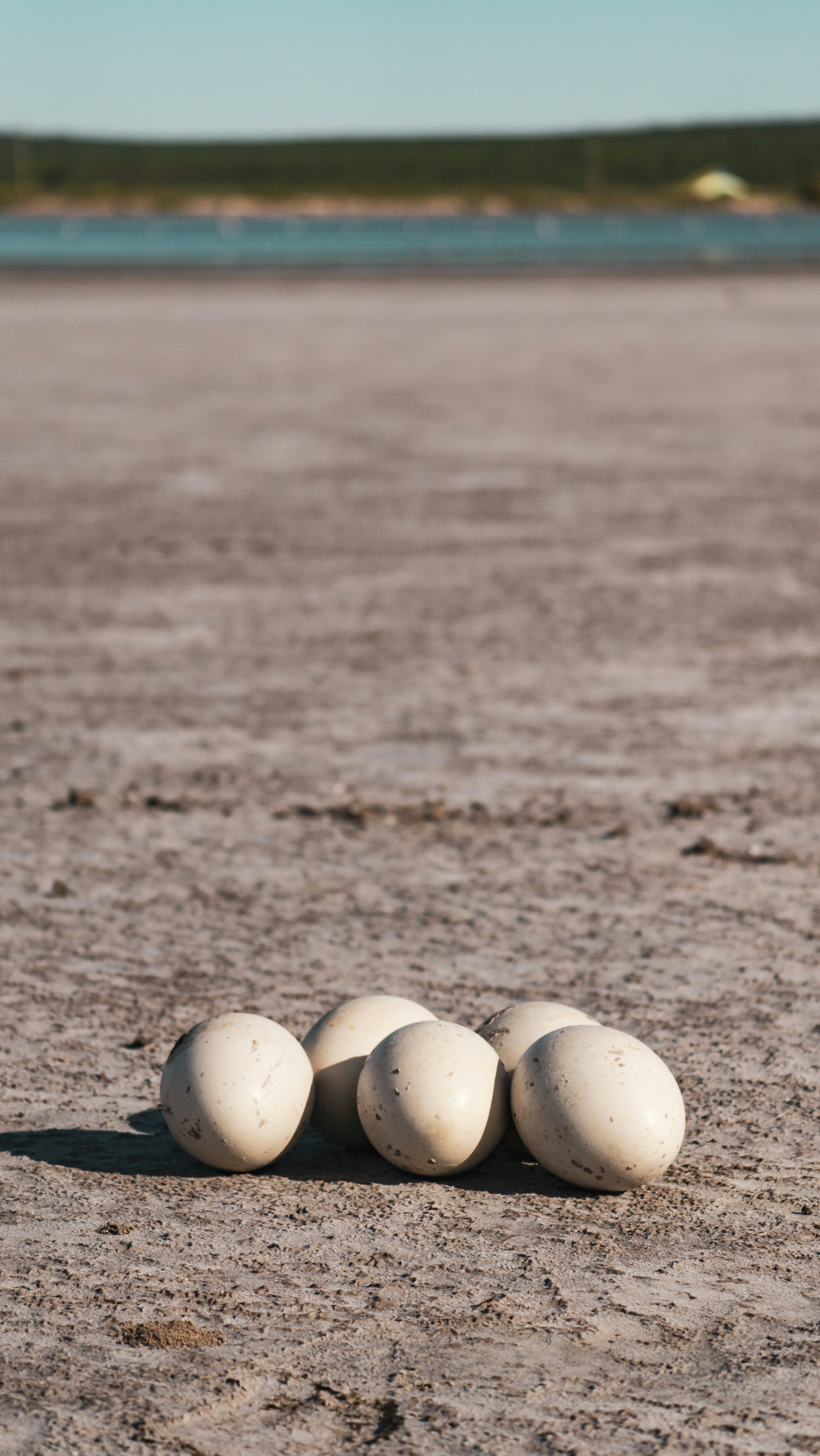 a group of white balls sitting on top of a sandy beach