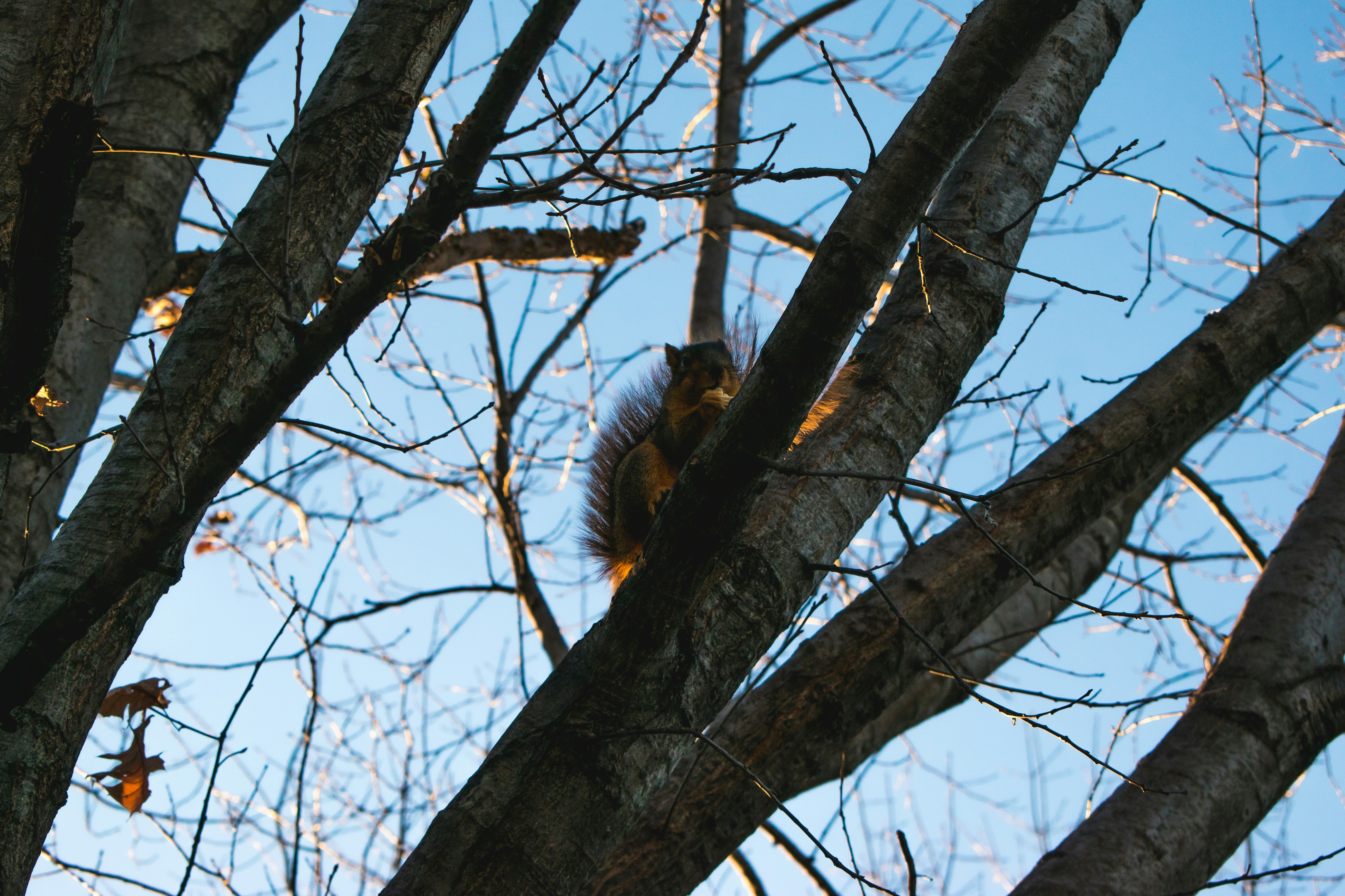 Photo by shutter_950