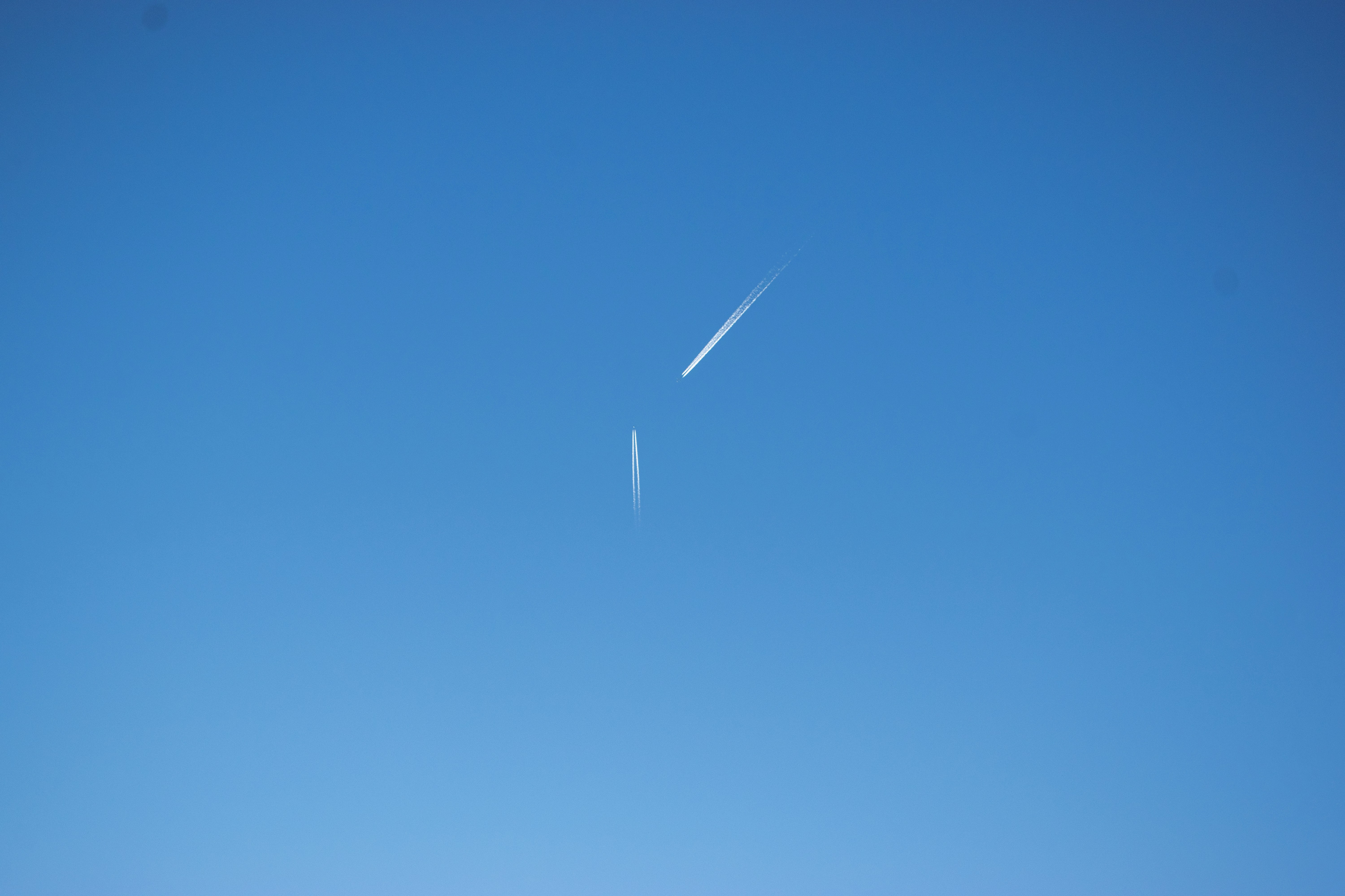 Photo by shutter_950