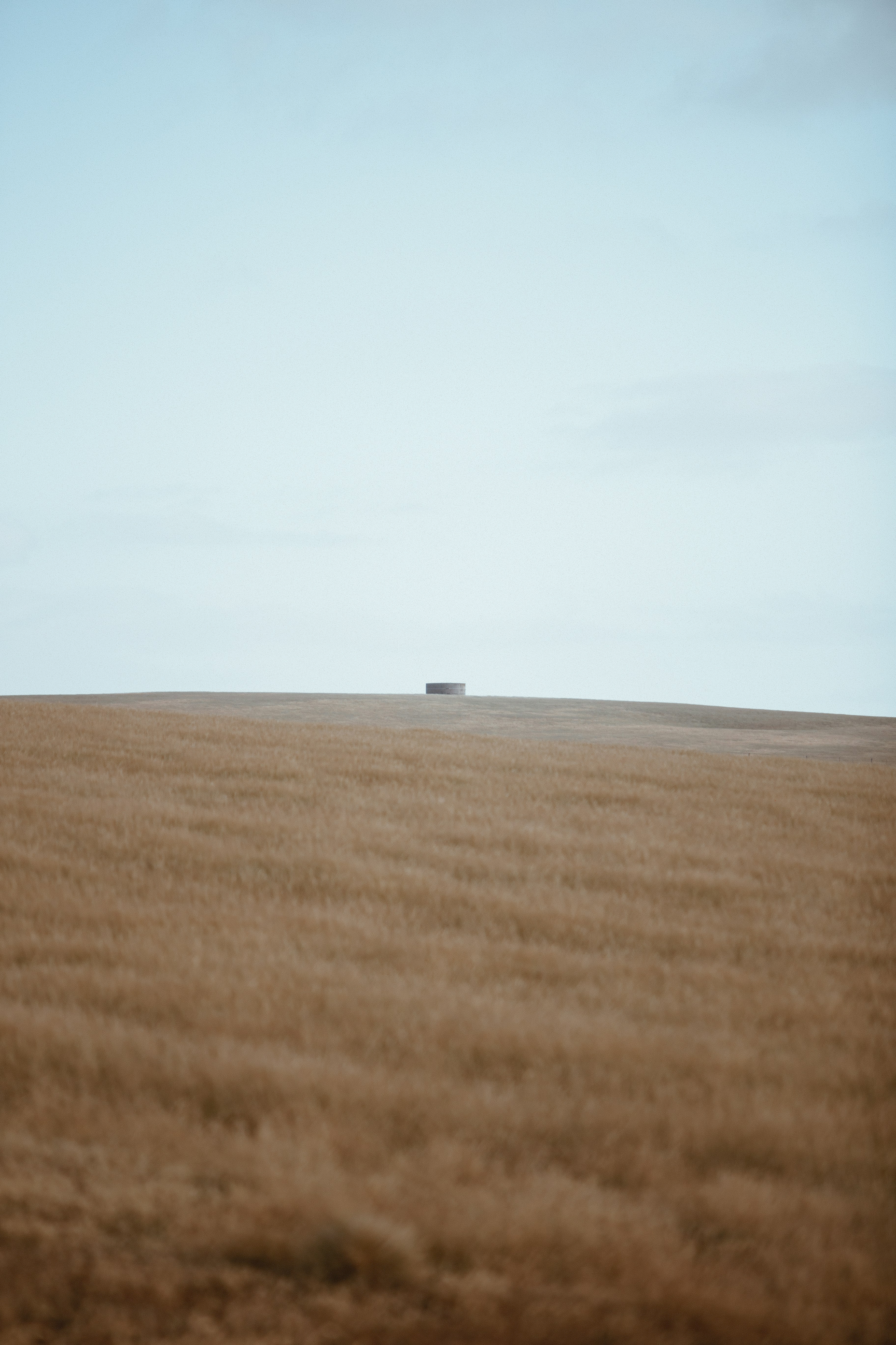 a large field of brown grass under a blue sky