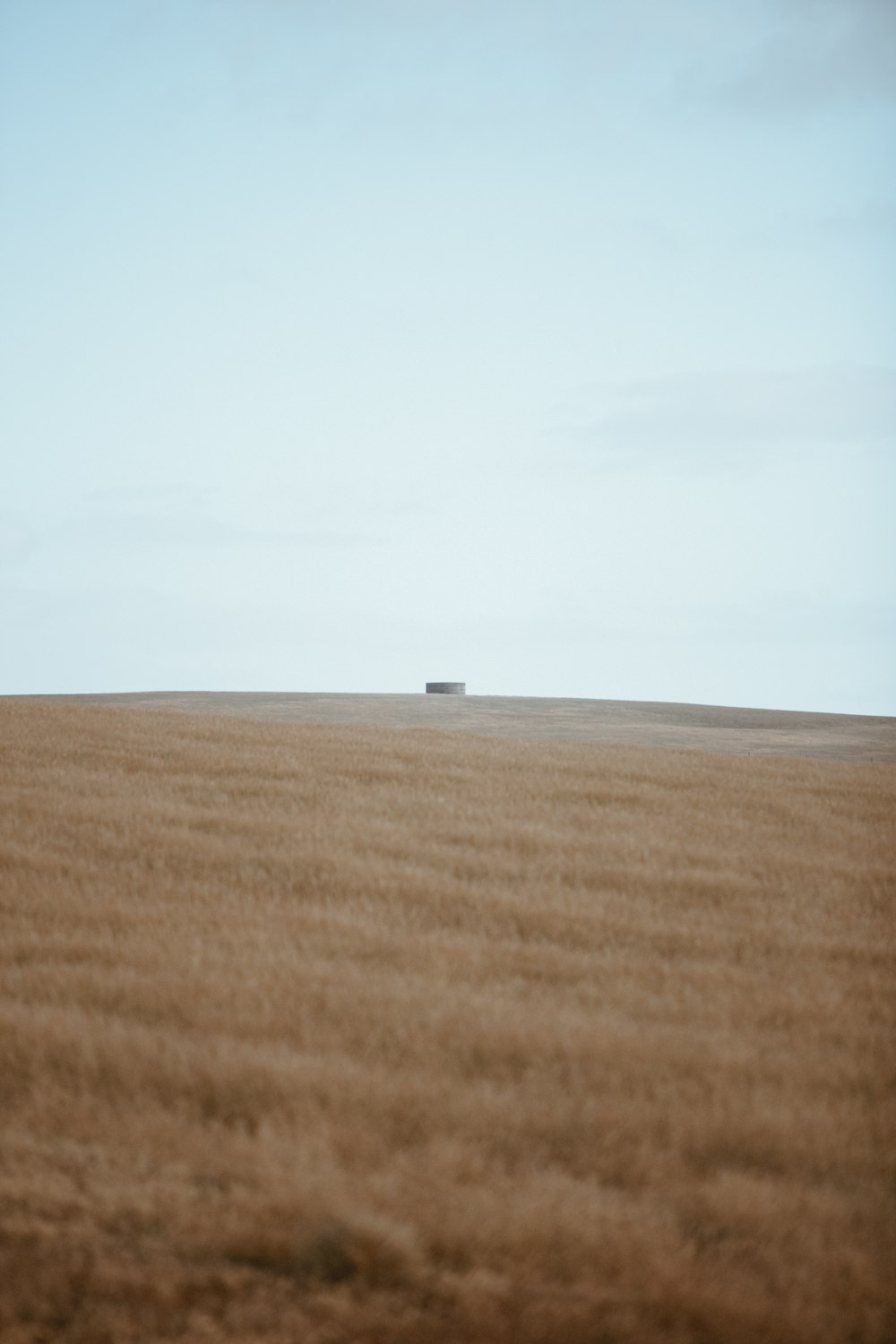 a large field of brown grass under a blue sky