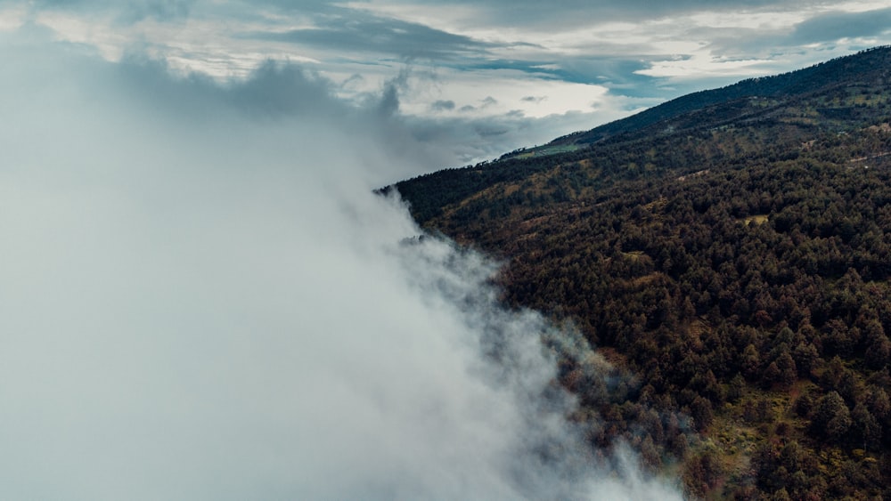 an aerial view of a forest and a mountain