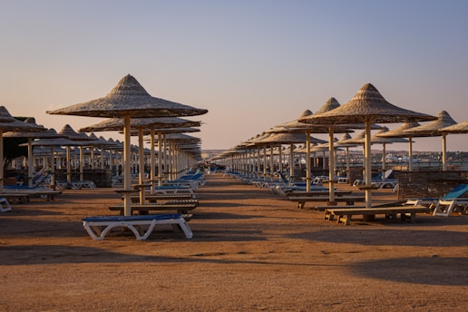 a row of beach chairs and umbrellas on a sandy beach