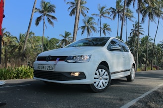 A white car with the license plate 'KL 58 U 2314' is parked on a road lined with tall palm trees under a clear blue sky.