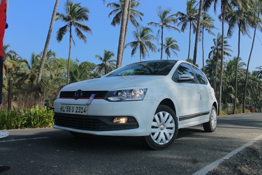 A white car with the license plate 'KL 58 U 2314' is parked on a road lined with tall palm trees under a clear blue sky.