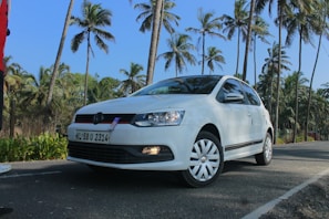 A white car with the license plate 'KL 58 U 2314' is parked on a road lined with tall palm trees under a clear blue sky.