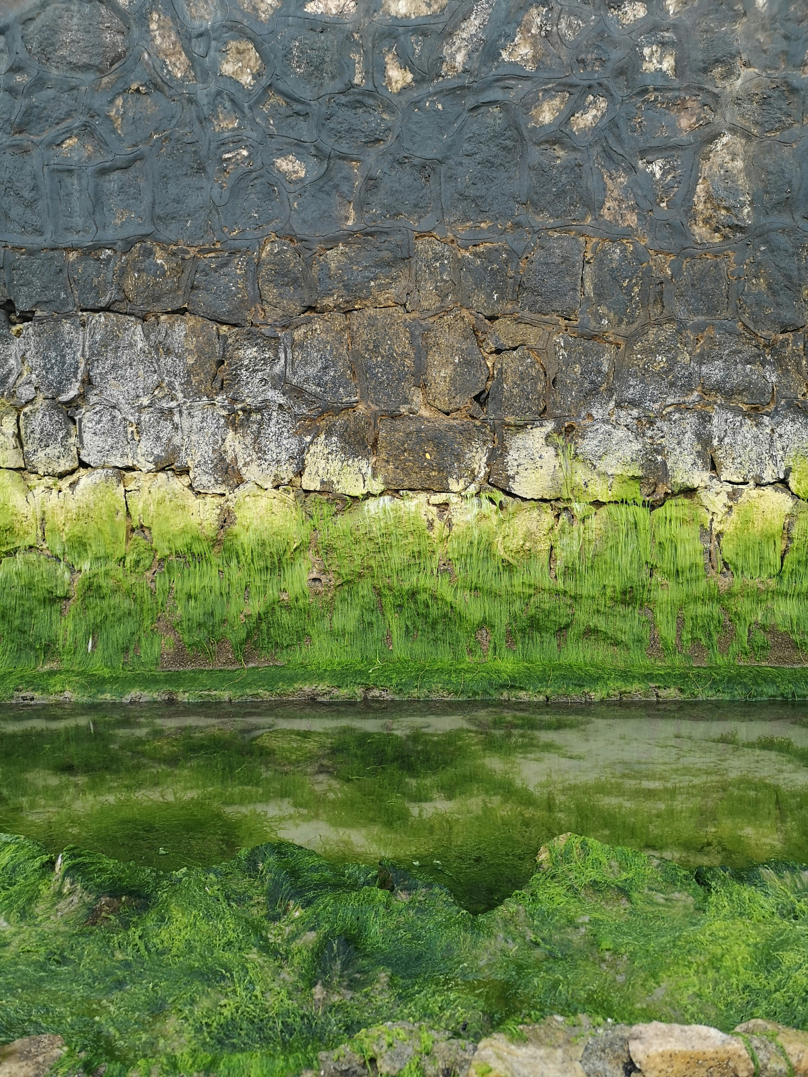a stone wall with green grass and water