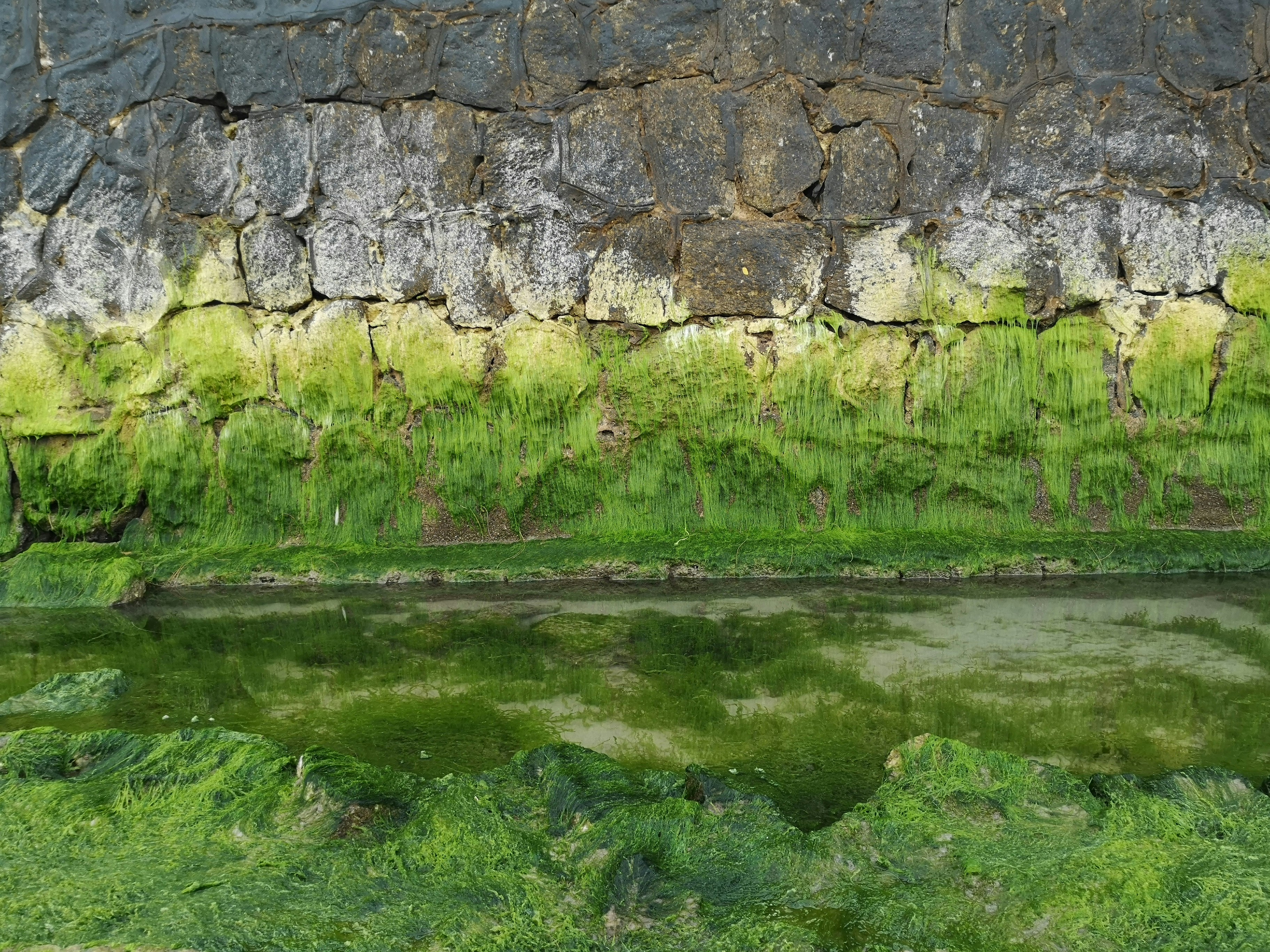 a painting of a green field with a stone wall in the background