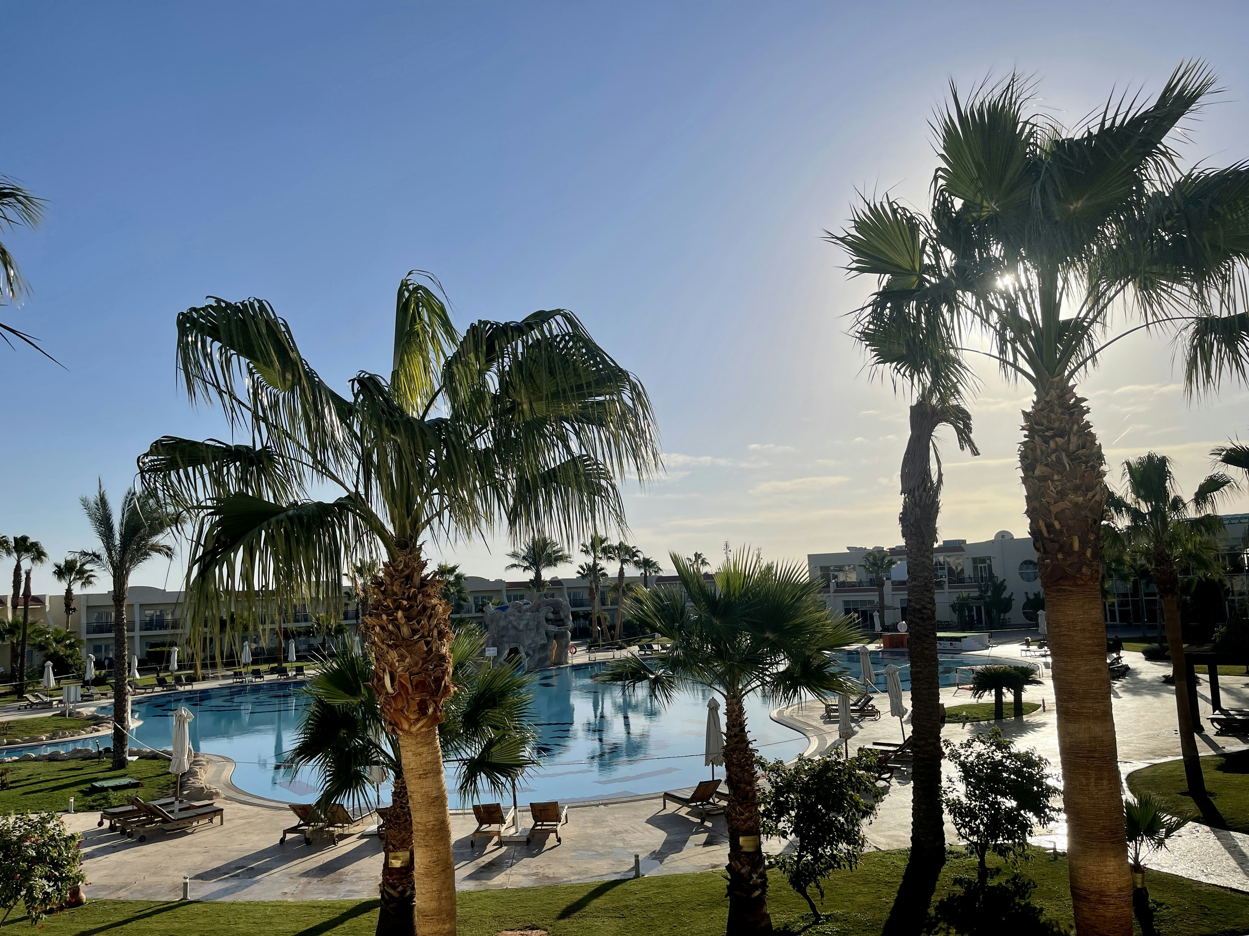 a large swimming pool surrounded by palm trees, Hilton Sharks Bay Resort in Sharm El Sheikh, Egypt located on the coast of the Red Sea. The Red Sea is known for it’s beautiful coral reefs which causes scuba divers from around the world come to dive.